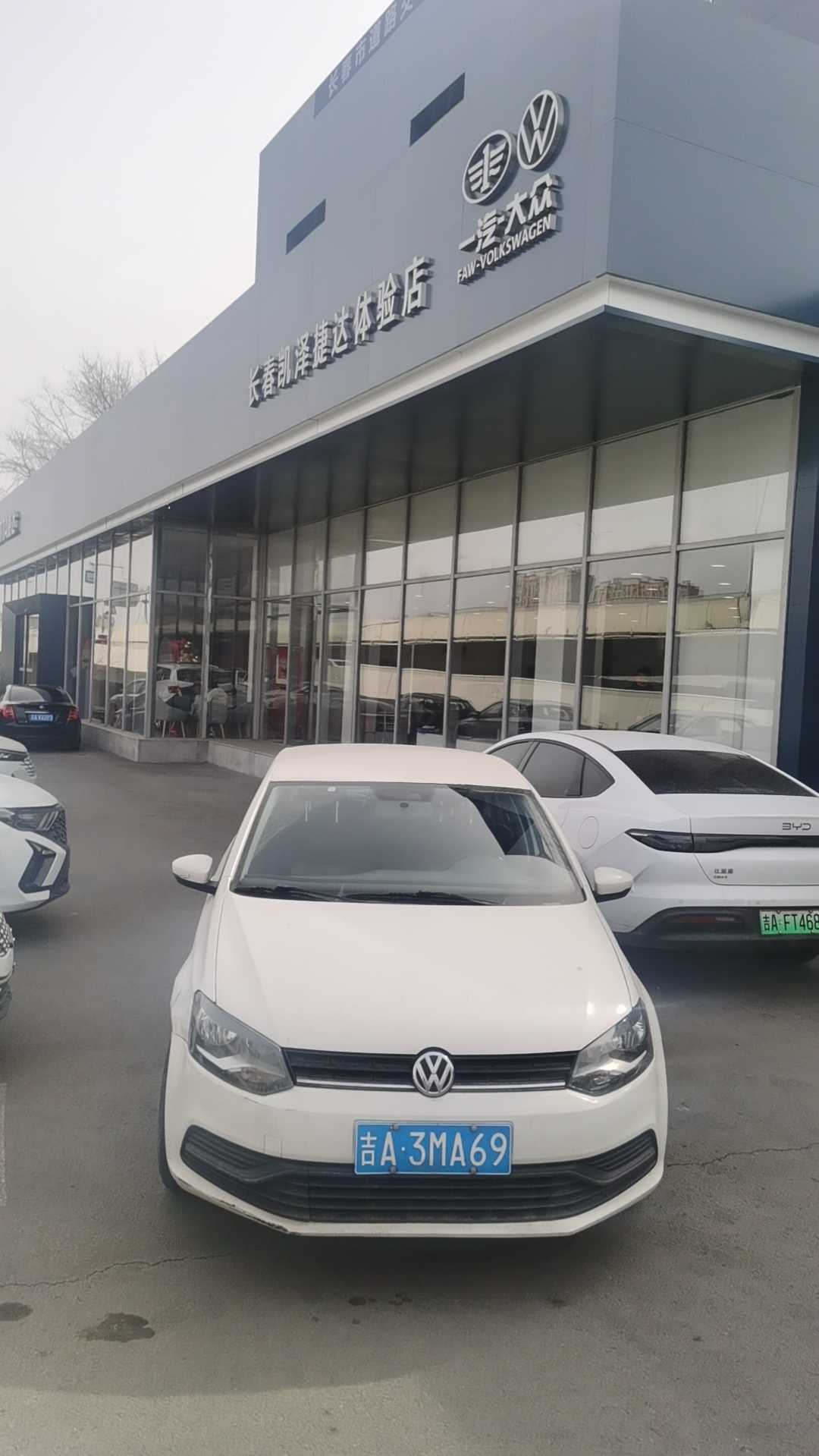Polo 2016 immagine di auto 