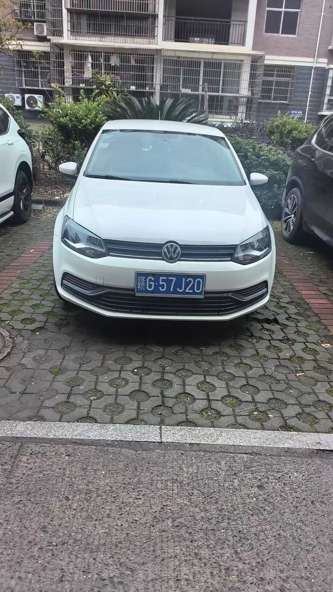 Polo 2016 immagine di auto 