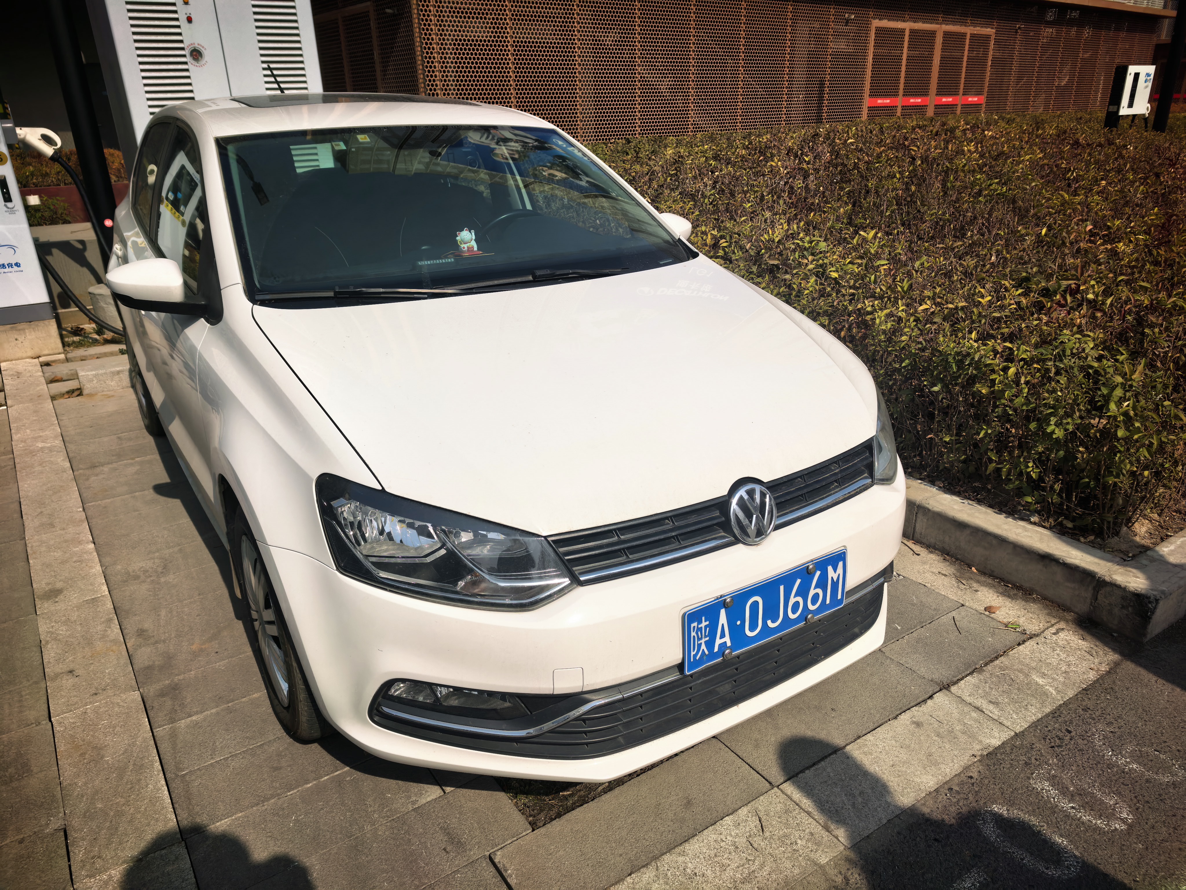 Polo 2016 car image 