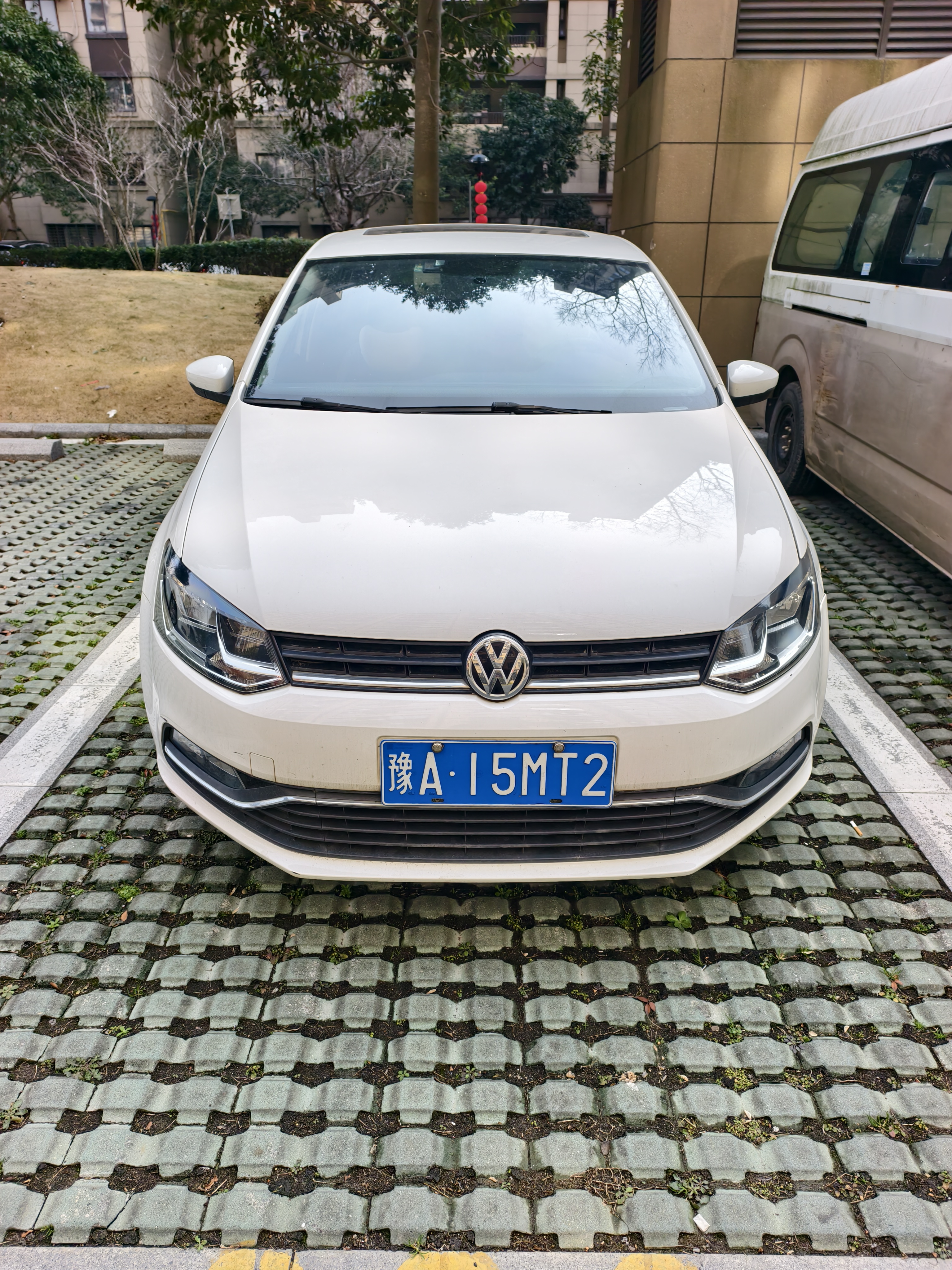 Polo 2017 Polo 2017 immagine di auto