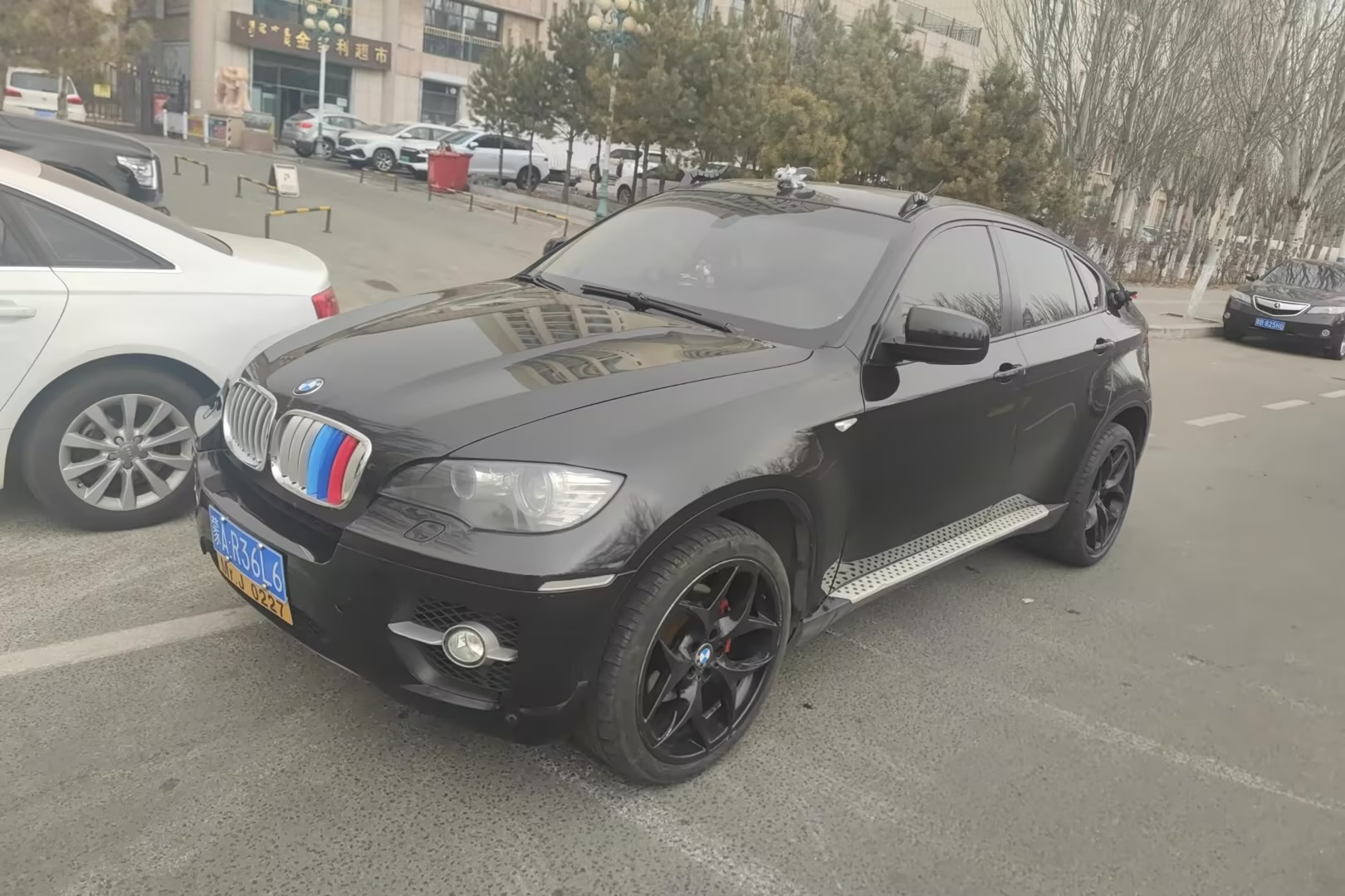 BMW X6 2009 car image 