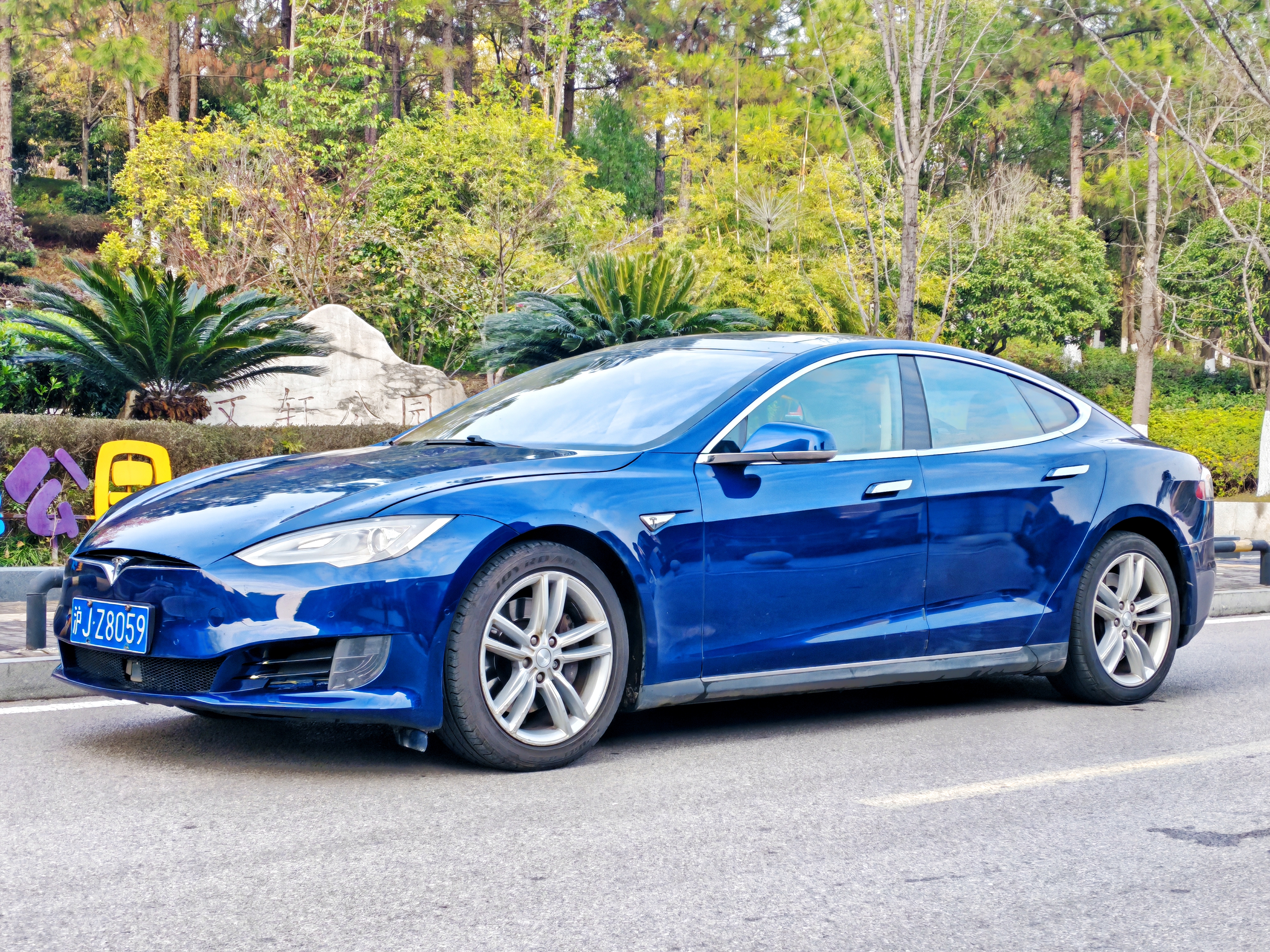Tesla Model S 2016 汽车图片 