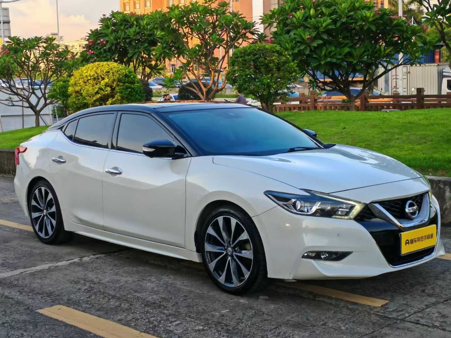 Nissan Maxima 2018 汽车图片 