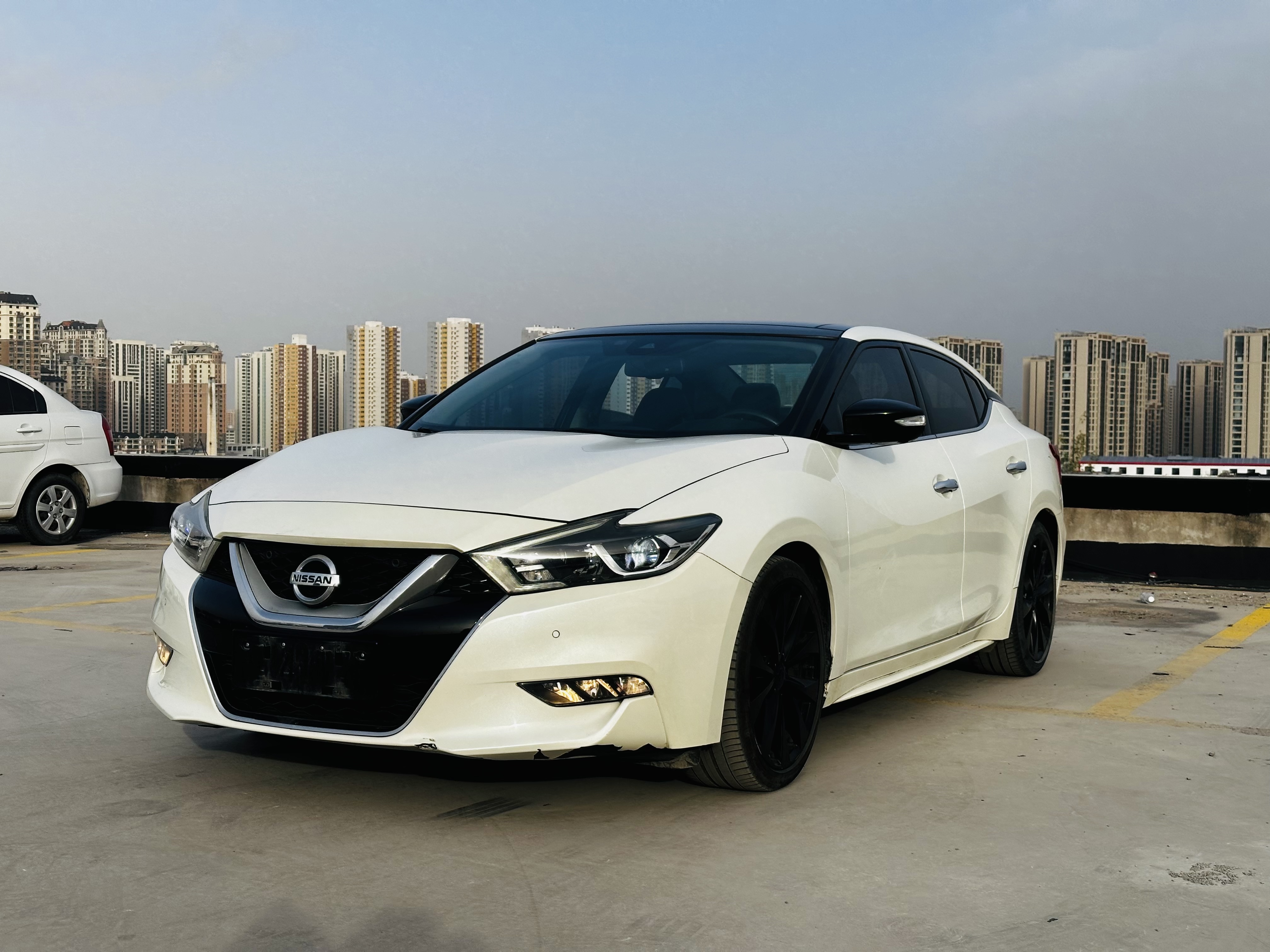Nissan Maxima 2016 汽车图片 