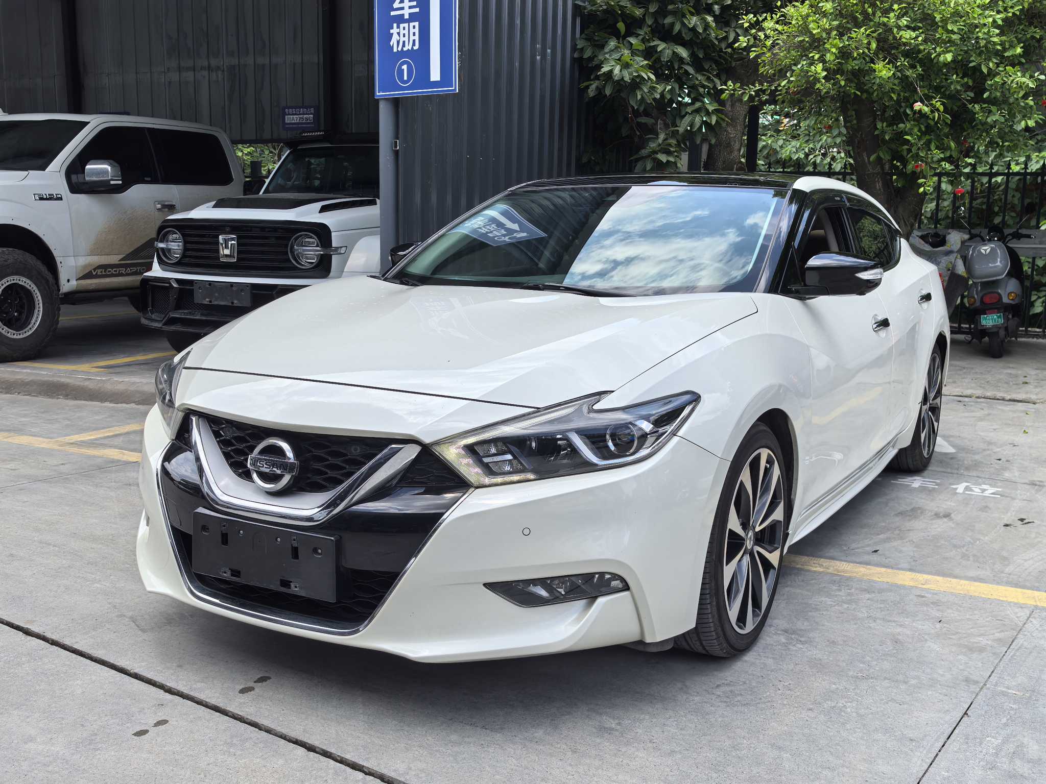 Nissan Maxima 2016 汽车图片 