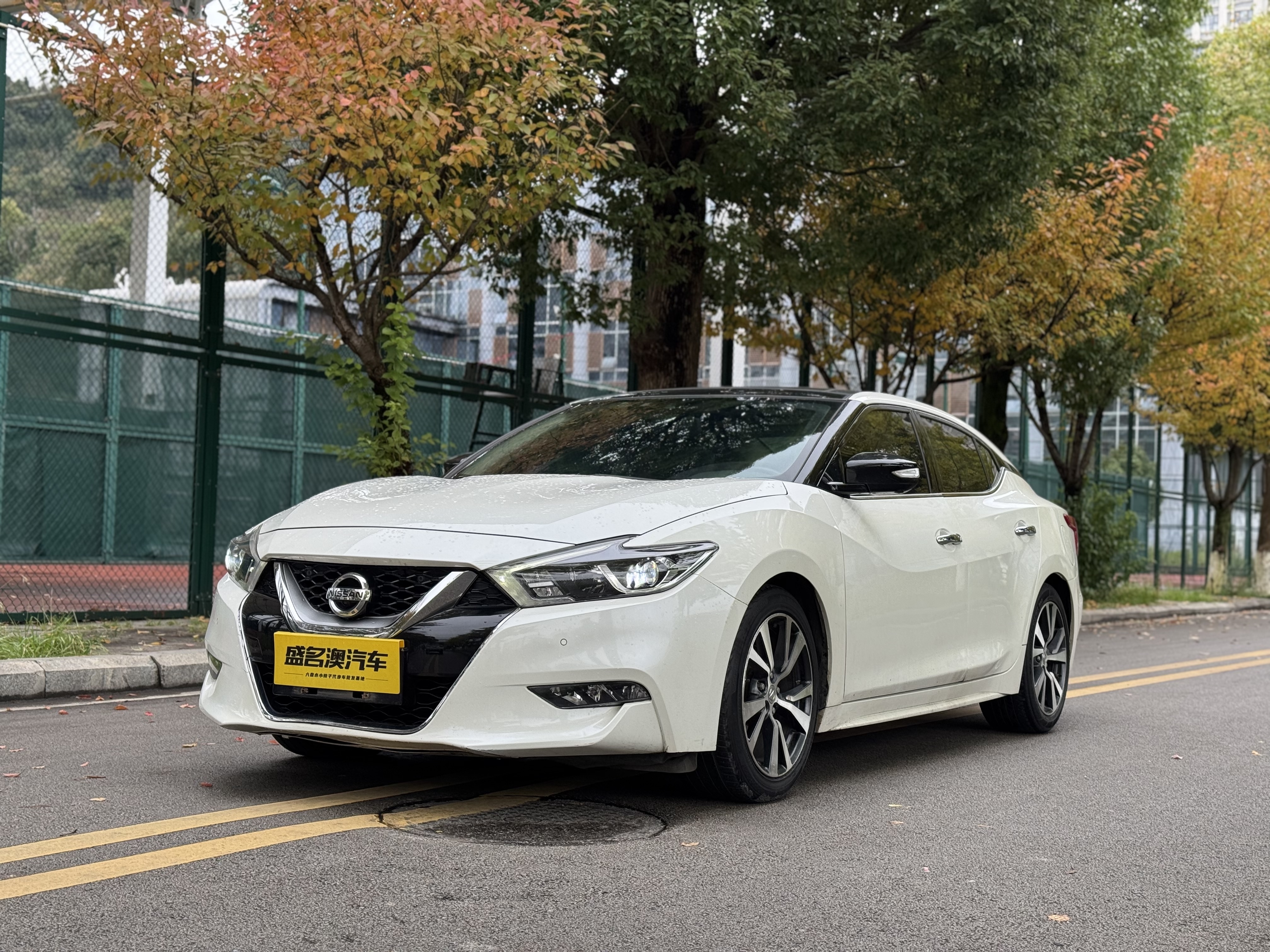 Nissan Maxima 2018 汽车图片 
