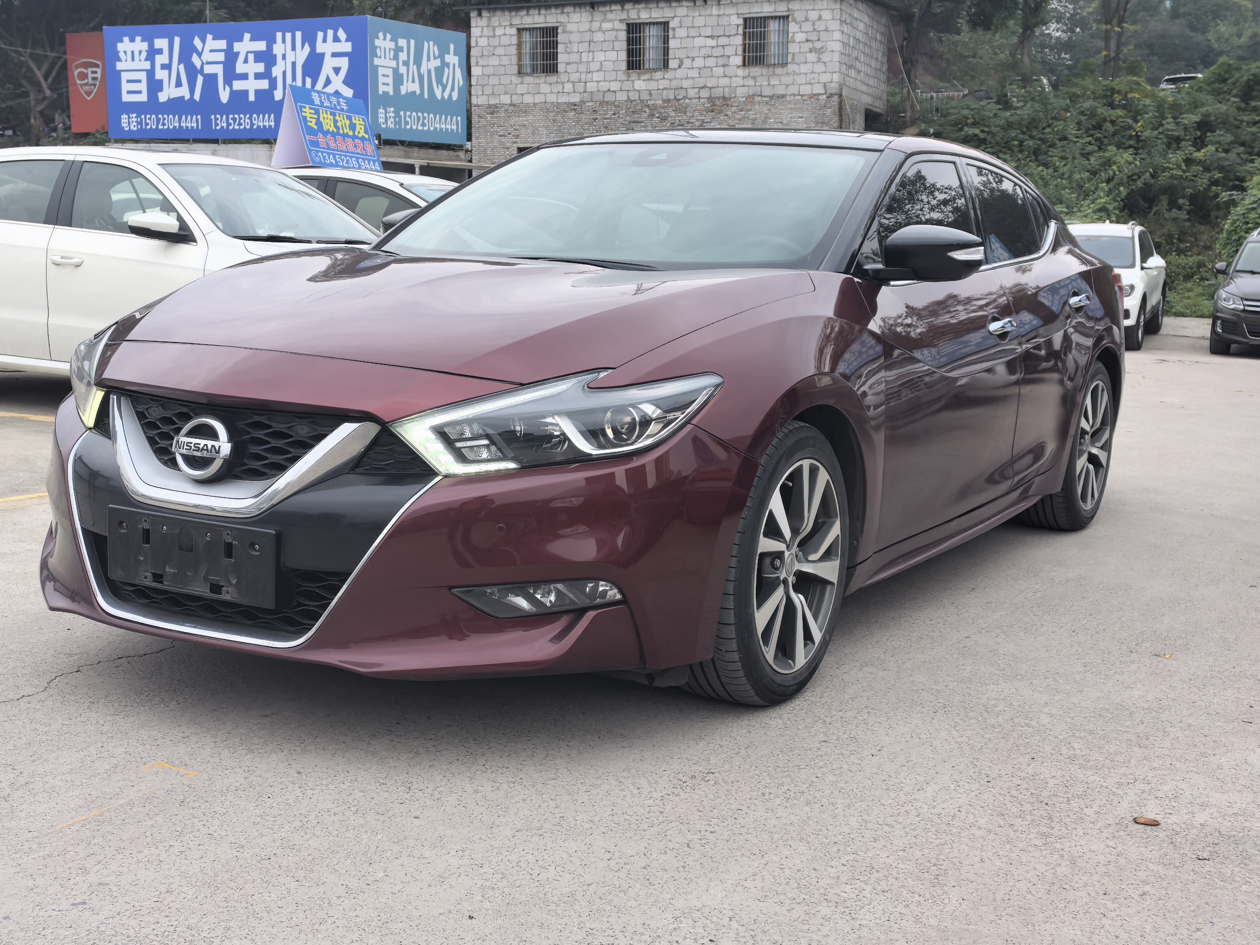 Nissan Maxima 2016 汽车图片 