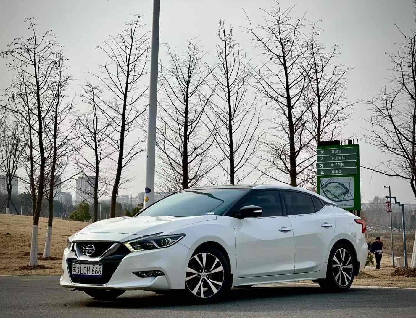 Nissan Maxima 2017 汽车图片 
