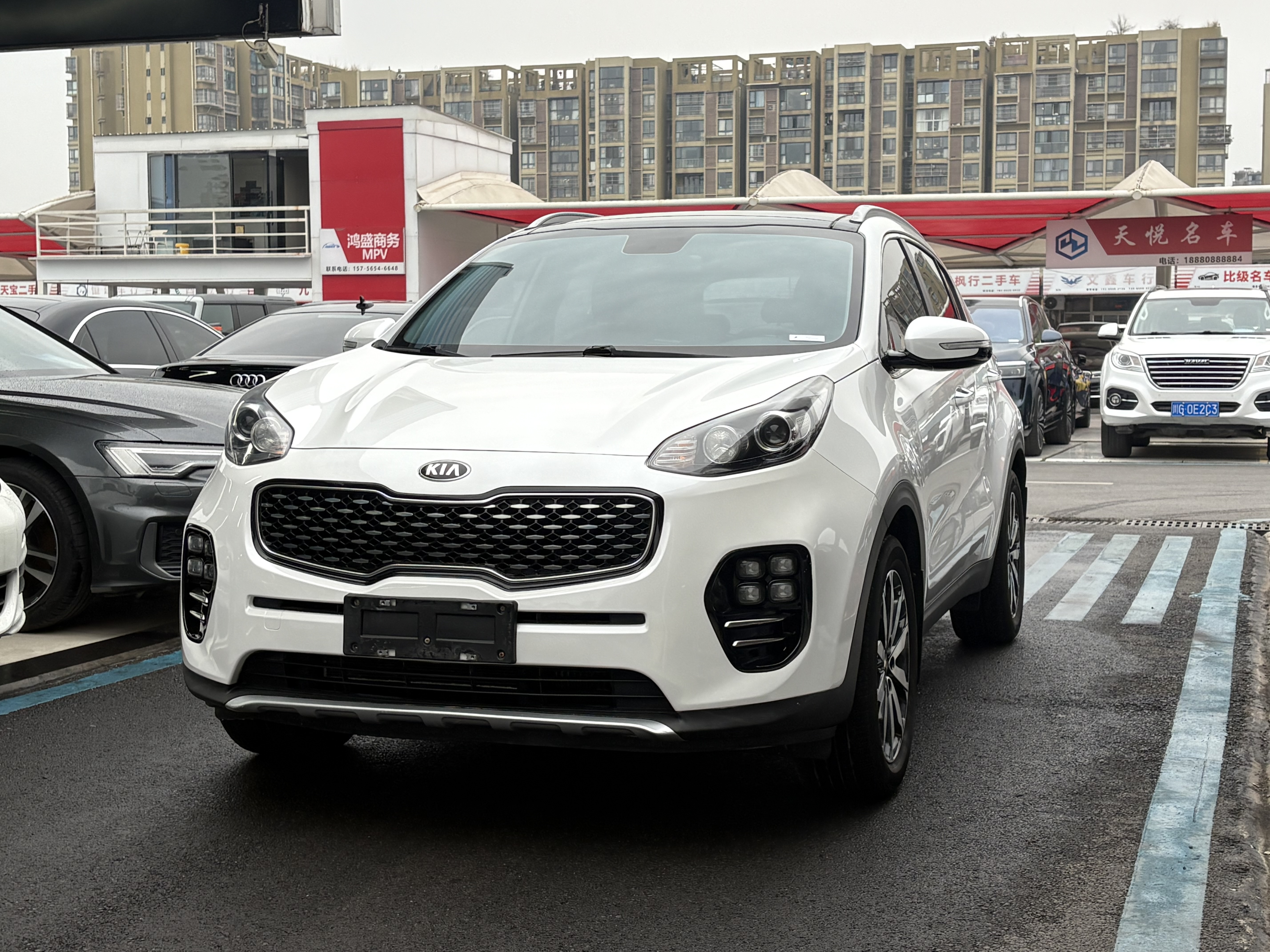 Kia KX5 2016 汽车图片 