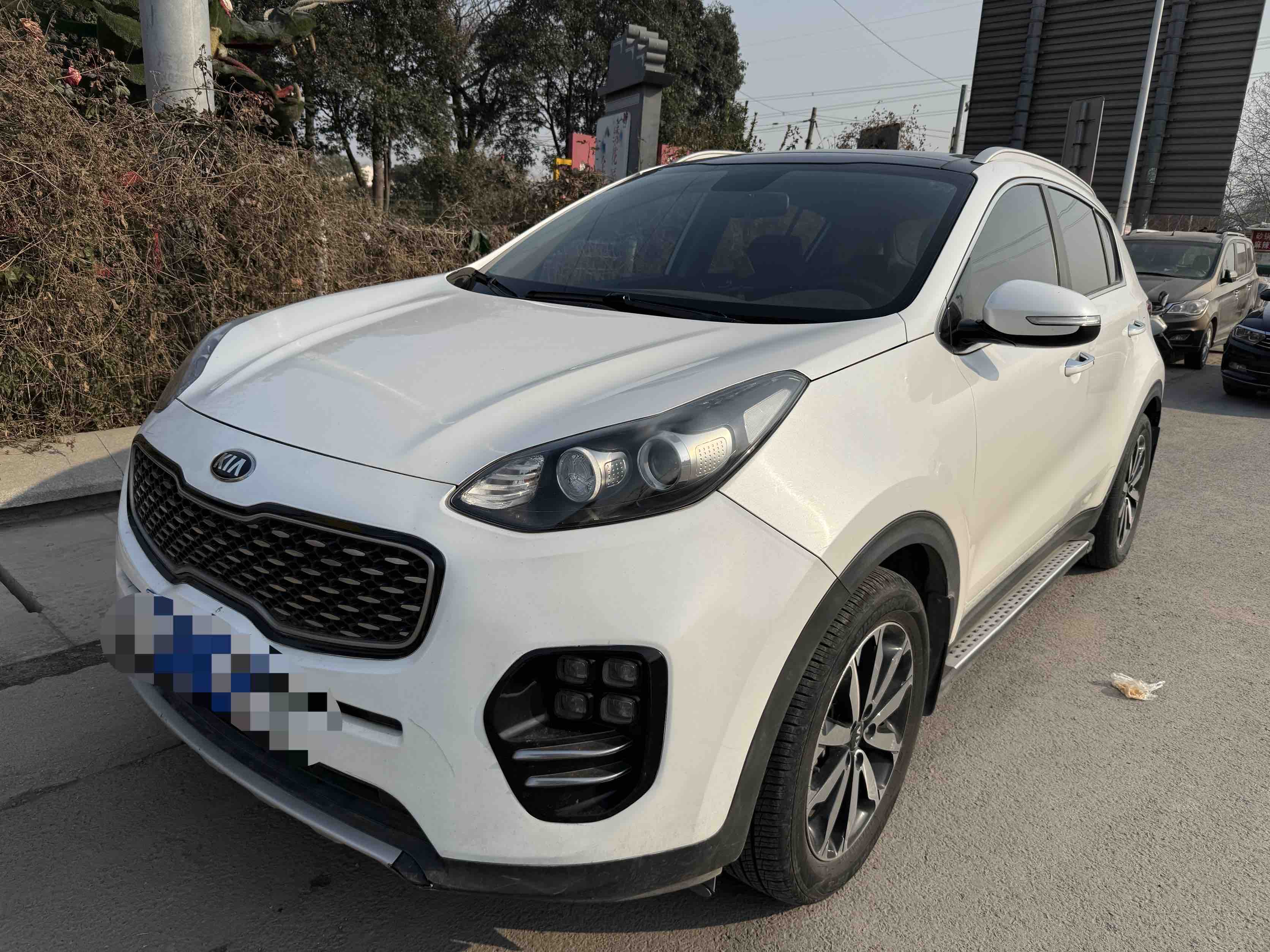 Kia KX5 2017 汽车图片 