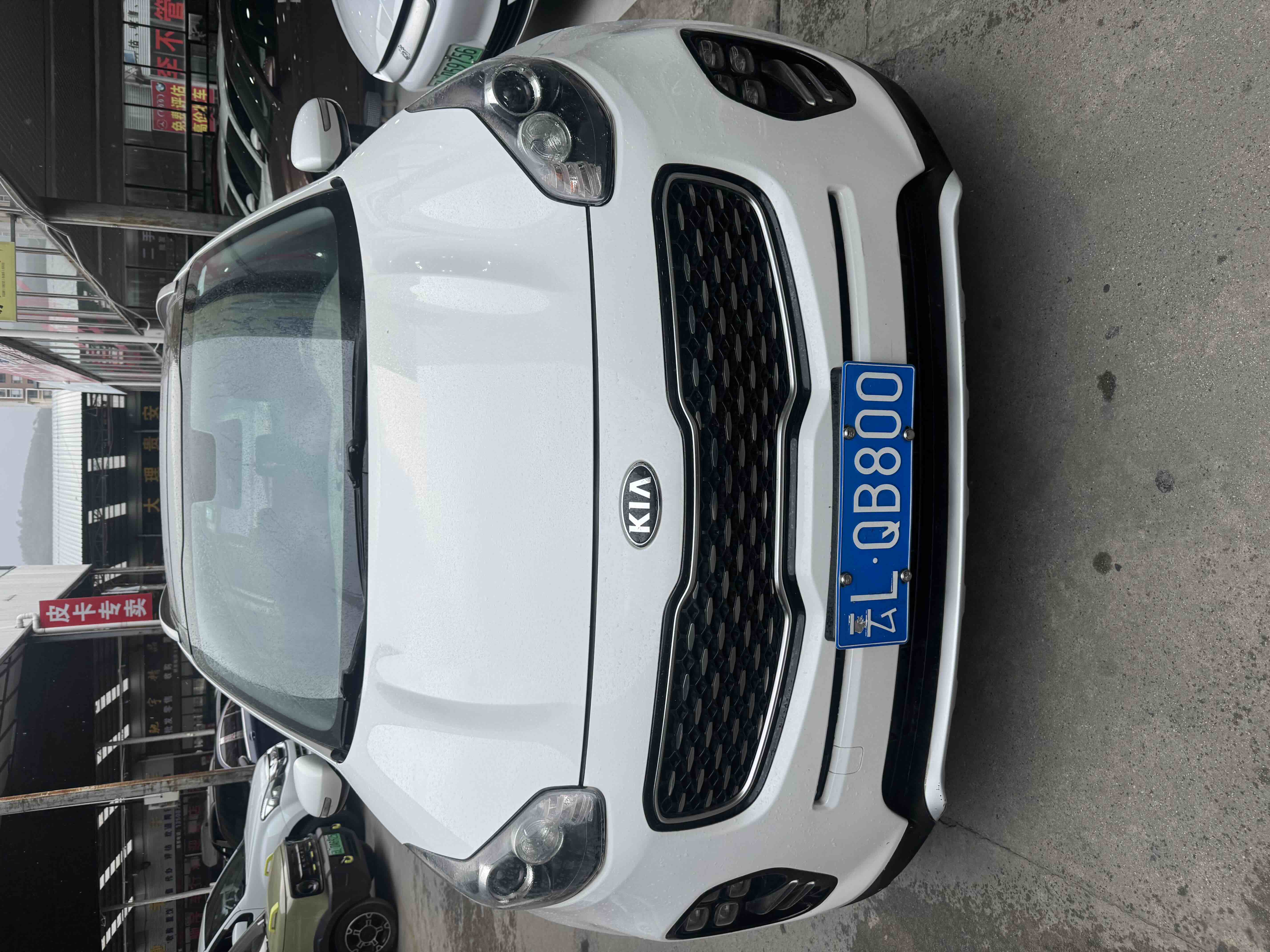 Kia KX5 2017 汽车图片 