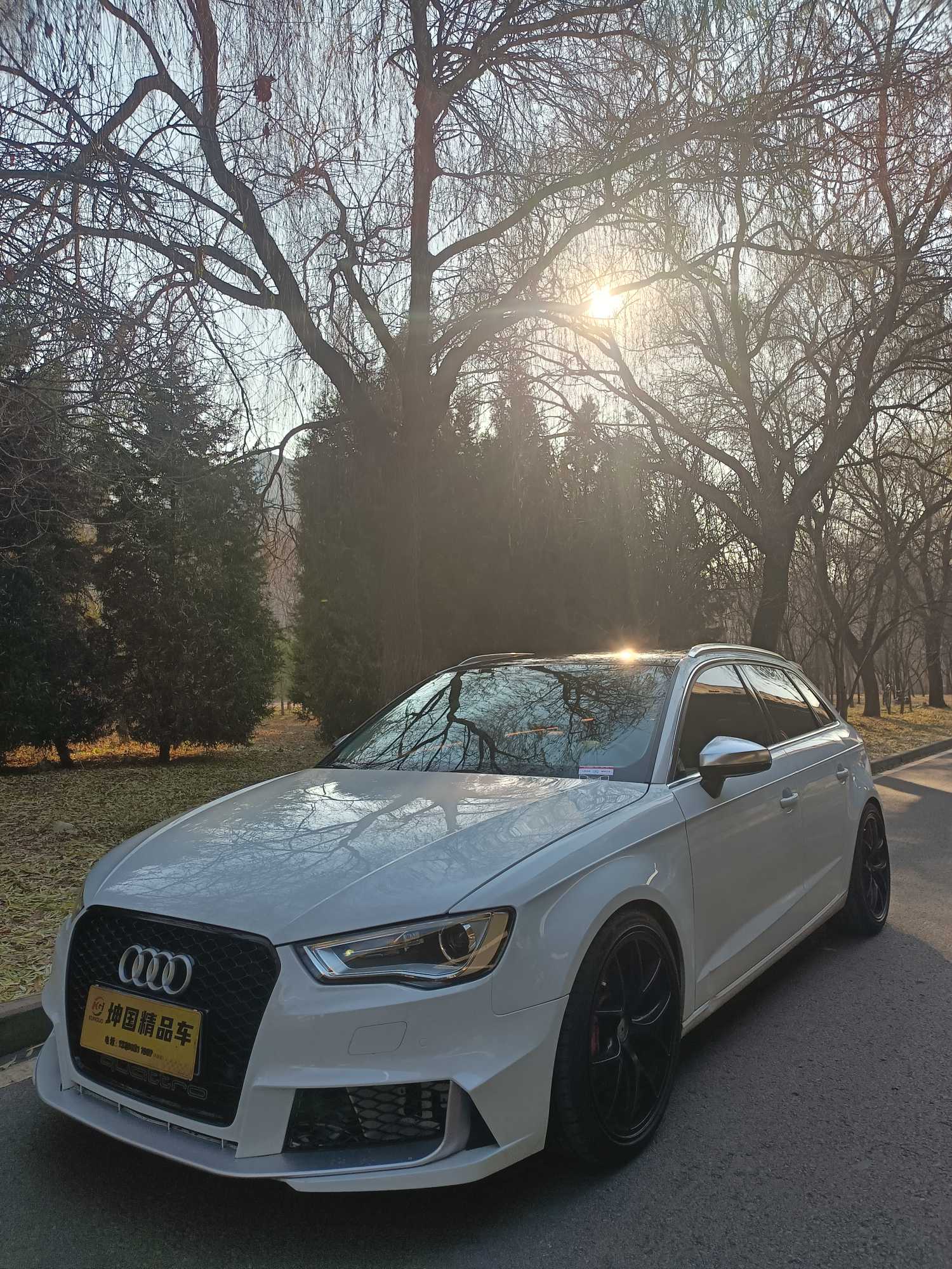 Audi A3 2017 Audi A3 2017 immagine di auto