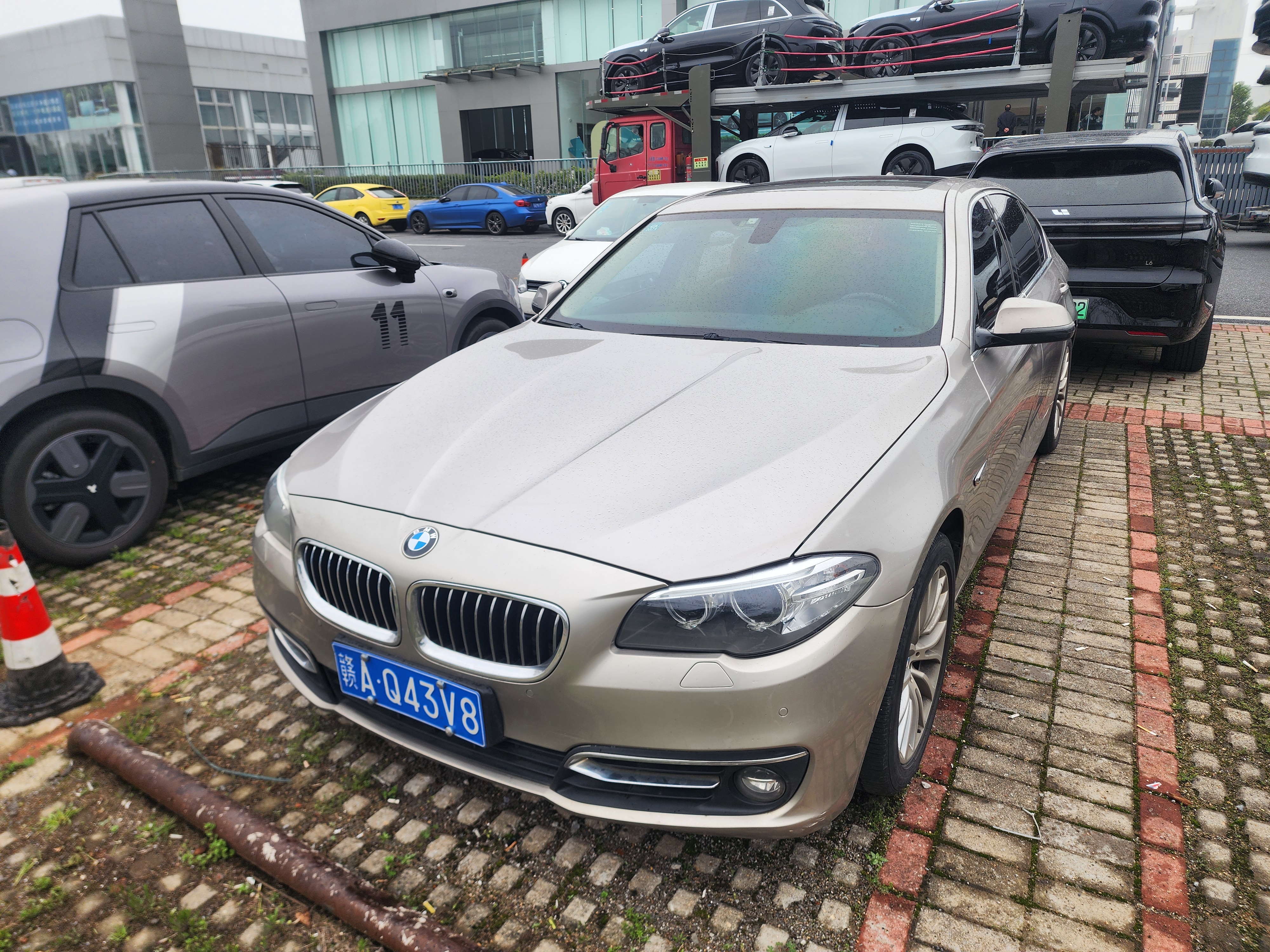 BMW 5 Series 2017 汽车图片 