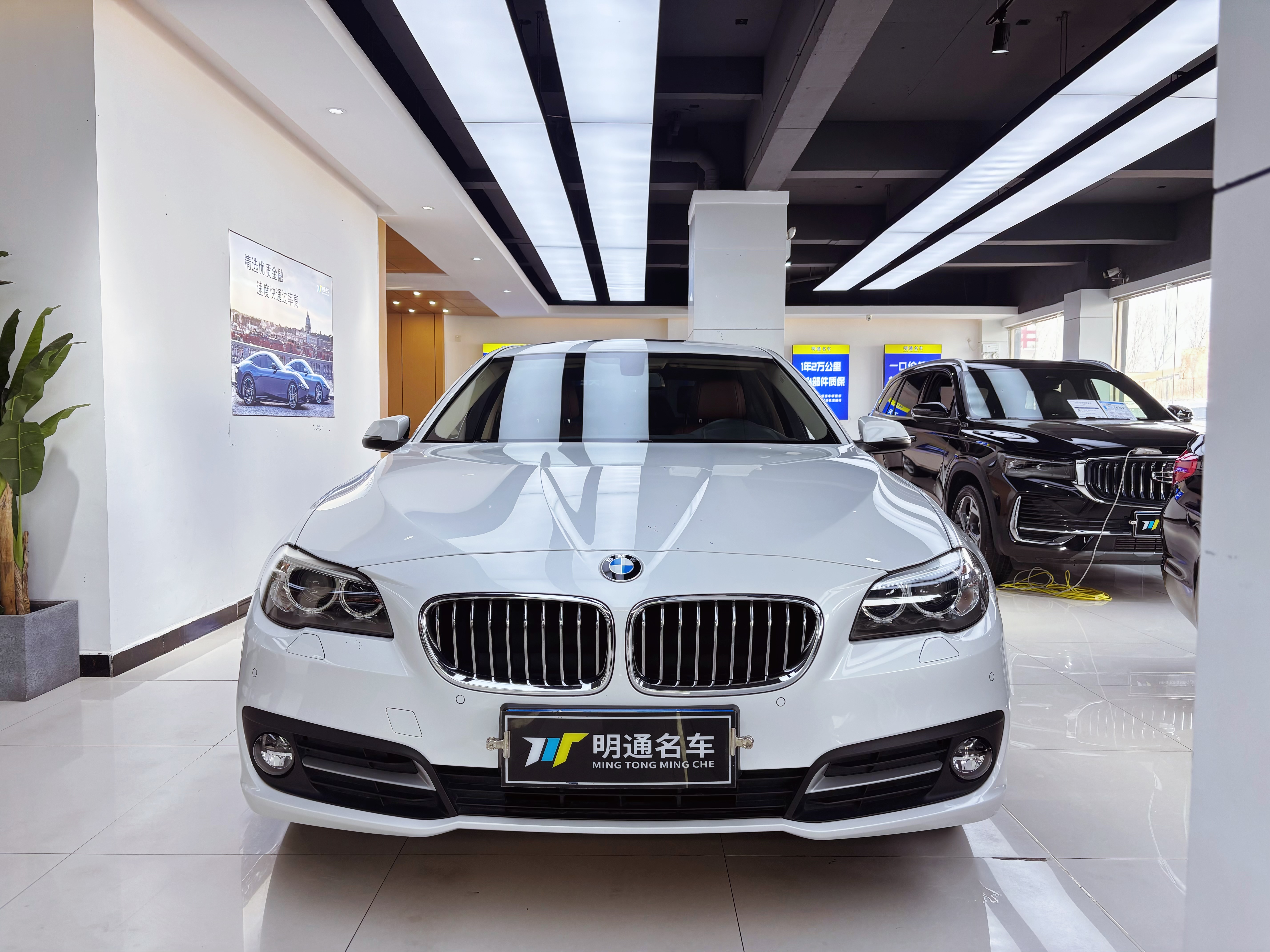 BMW 5 Series 2016 car image 