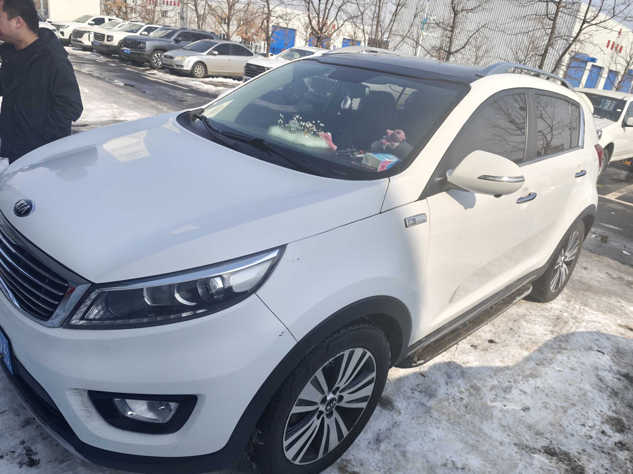 Kia Sportage R 2016 汽车图片 