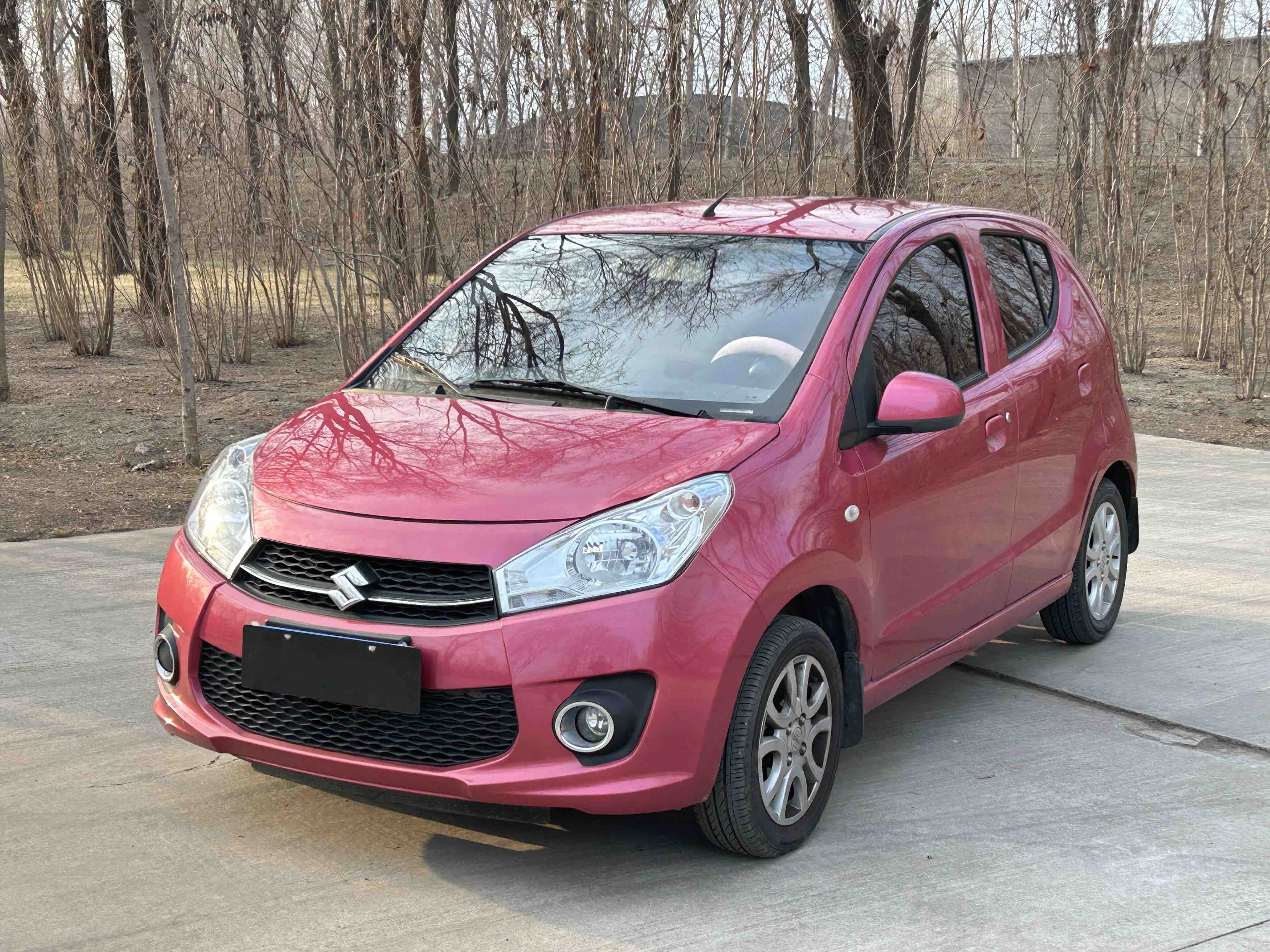 Suzuki Alto 2017 image de voiture 