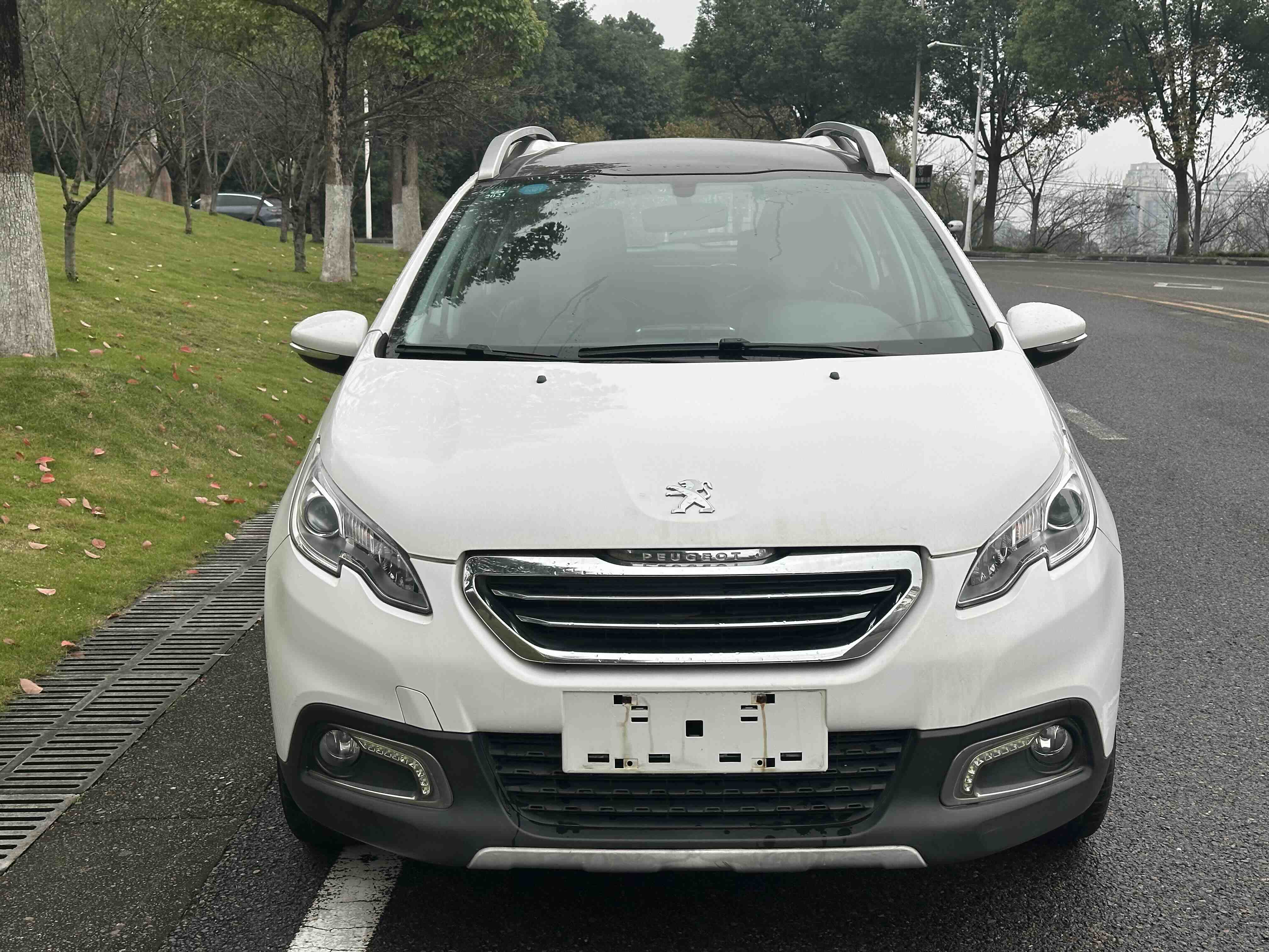 Peugeot 2008 2015 汽车图片 