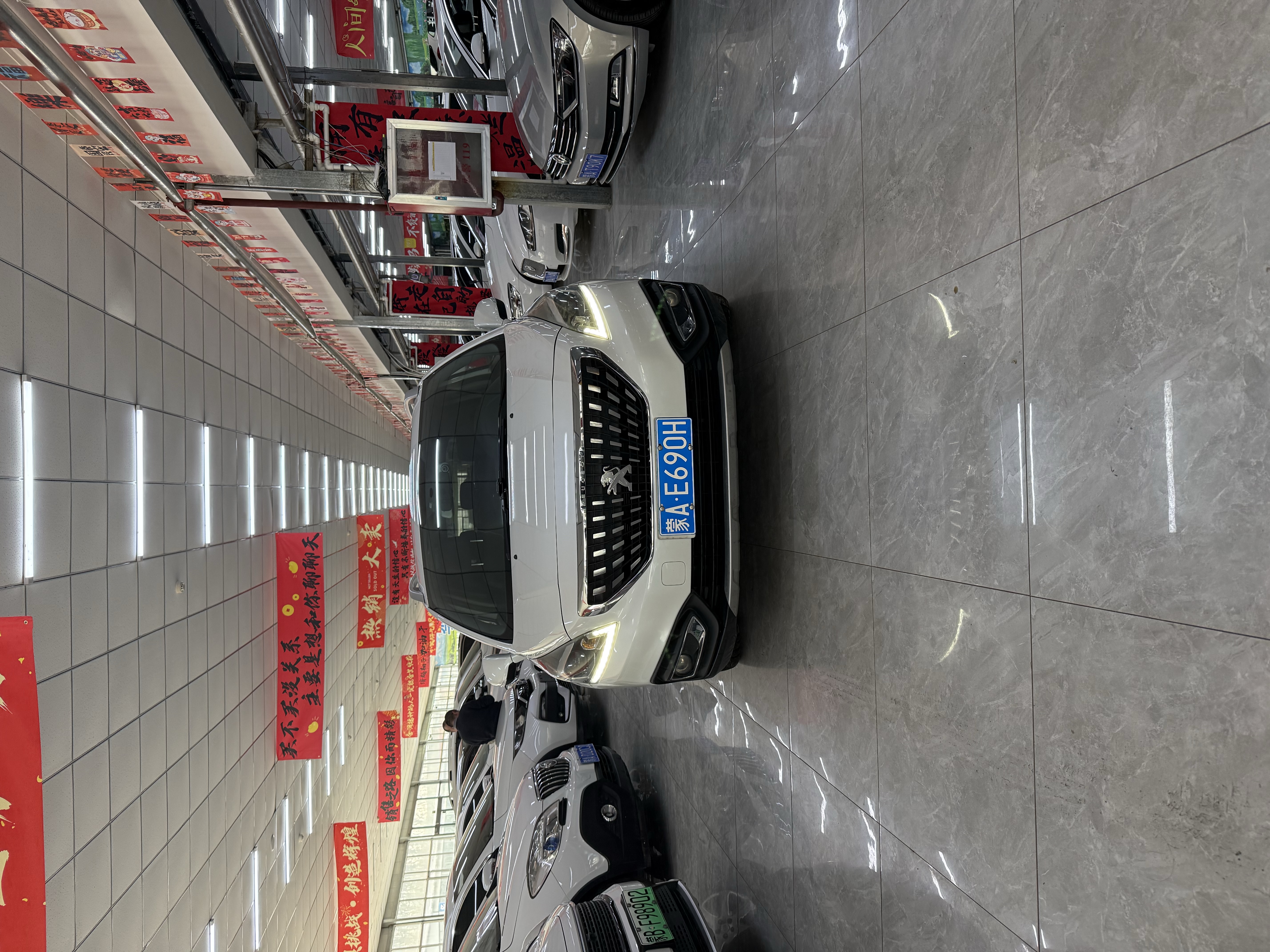 Peugeot 3008 2016 汽车图片 