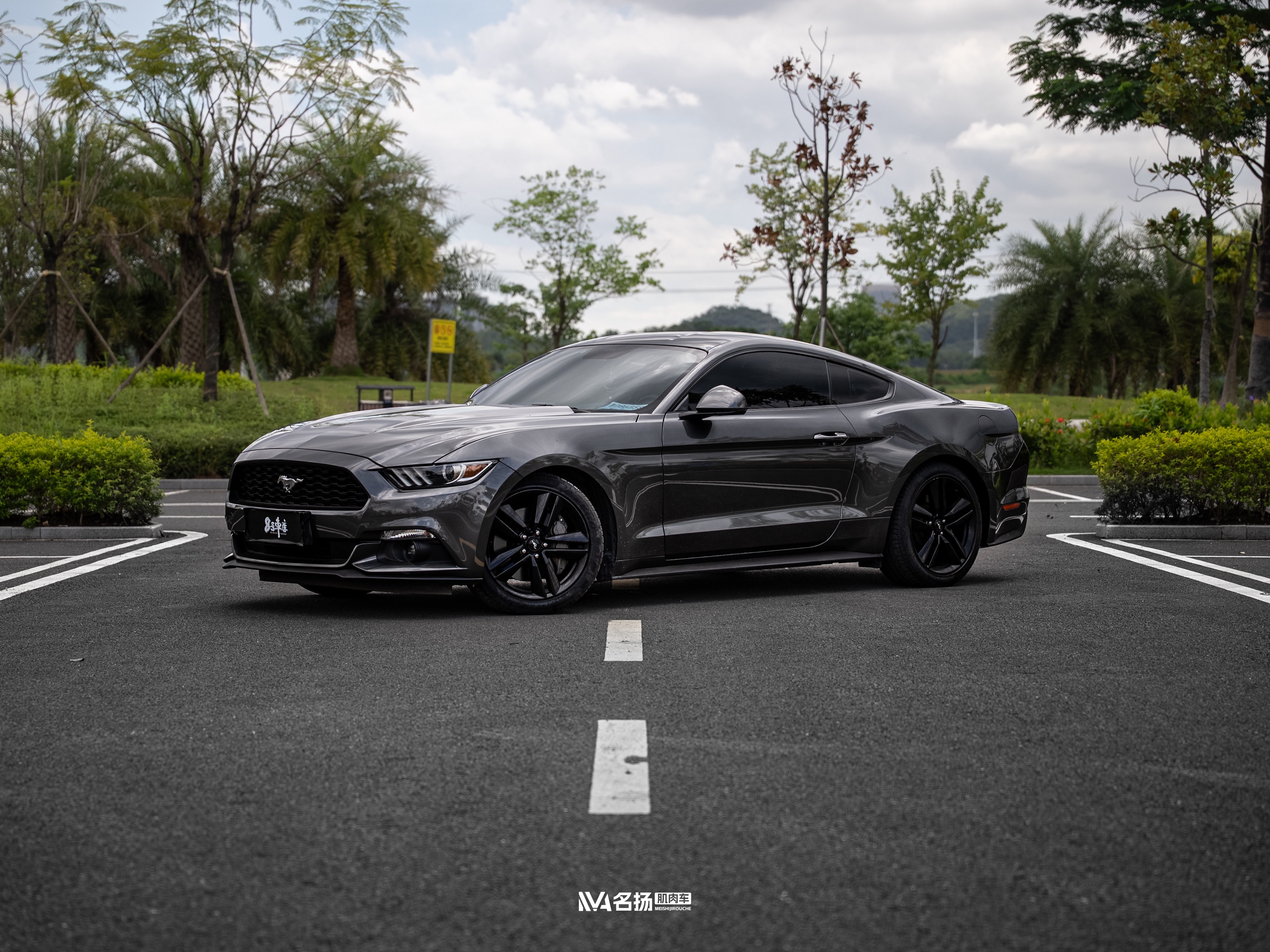 Ford Mustang 2017 car image 