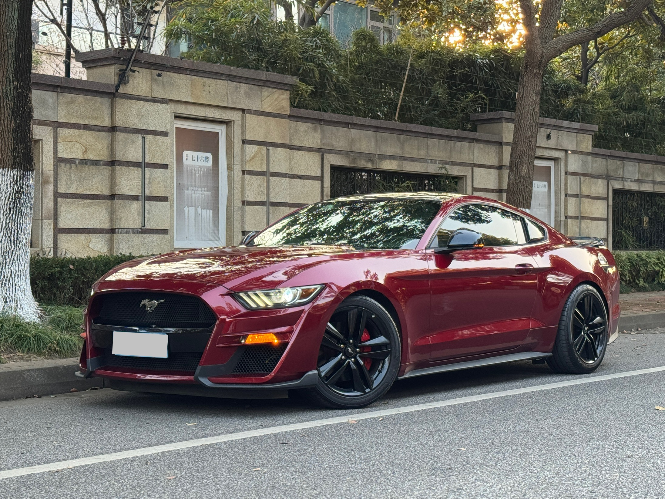 Ford Mustang 2017 car image 