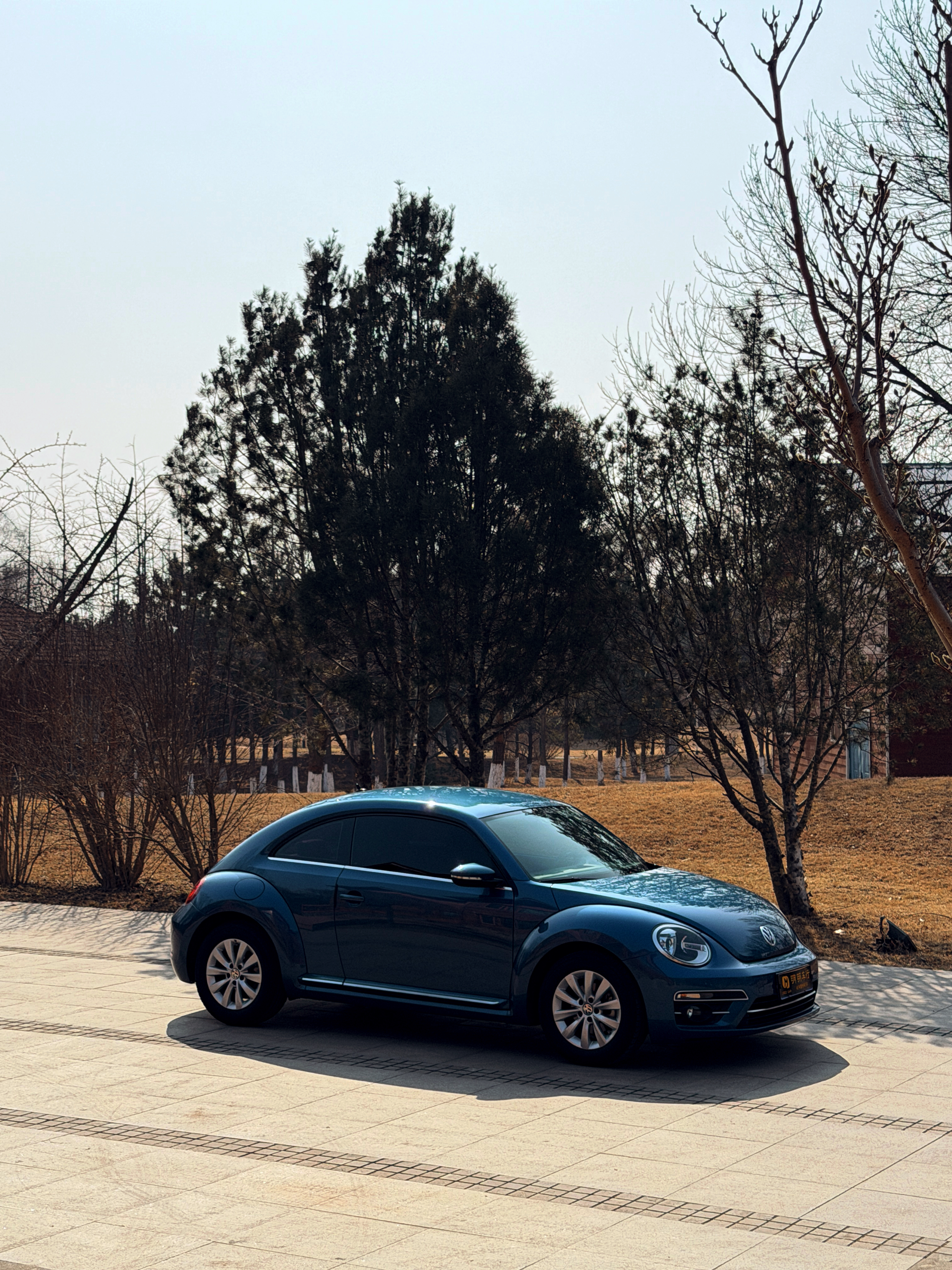 Volkswagen Beetle 2018 изображение автомобиля 