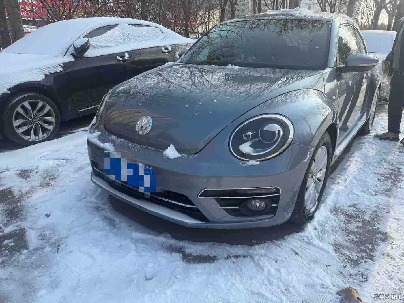 Volkswagen Beetle 2017 Volkswagen Beetle 2017 car image