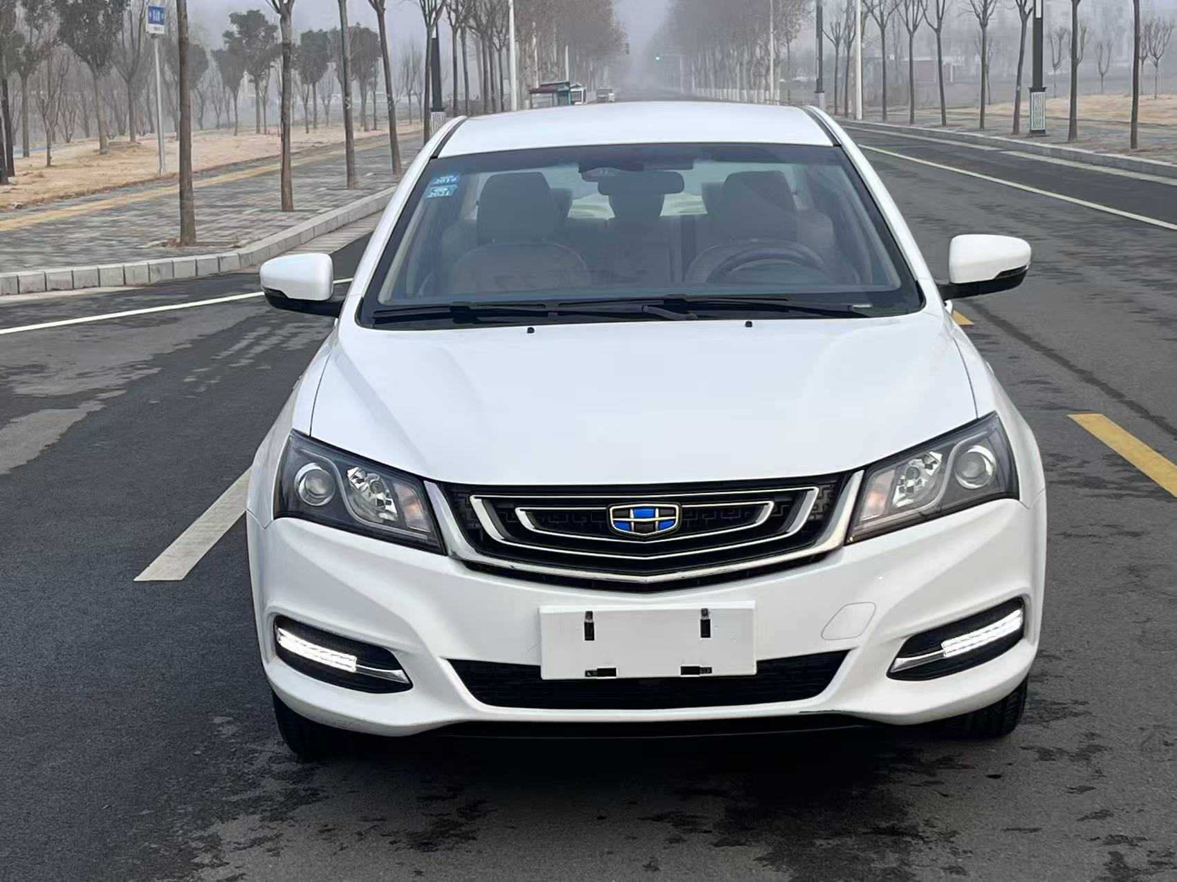 GEELY Emgrand 2017 immagine di auto 