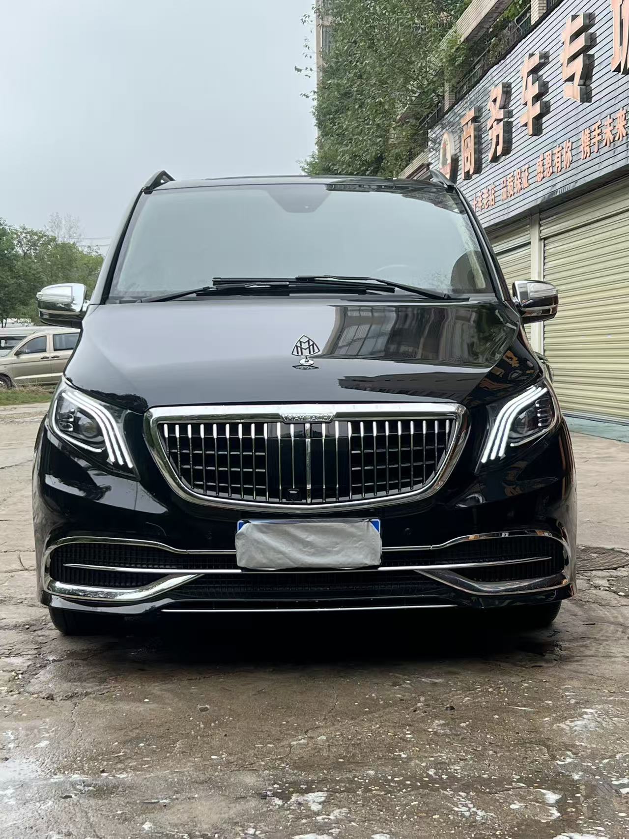 Mercedes-Benz Viano 2014 汽车图片 