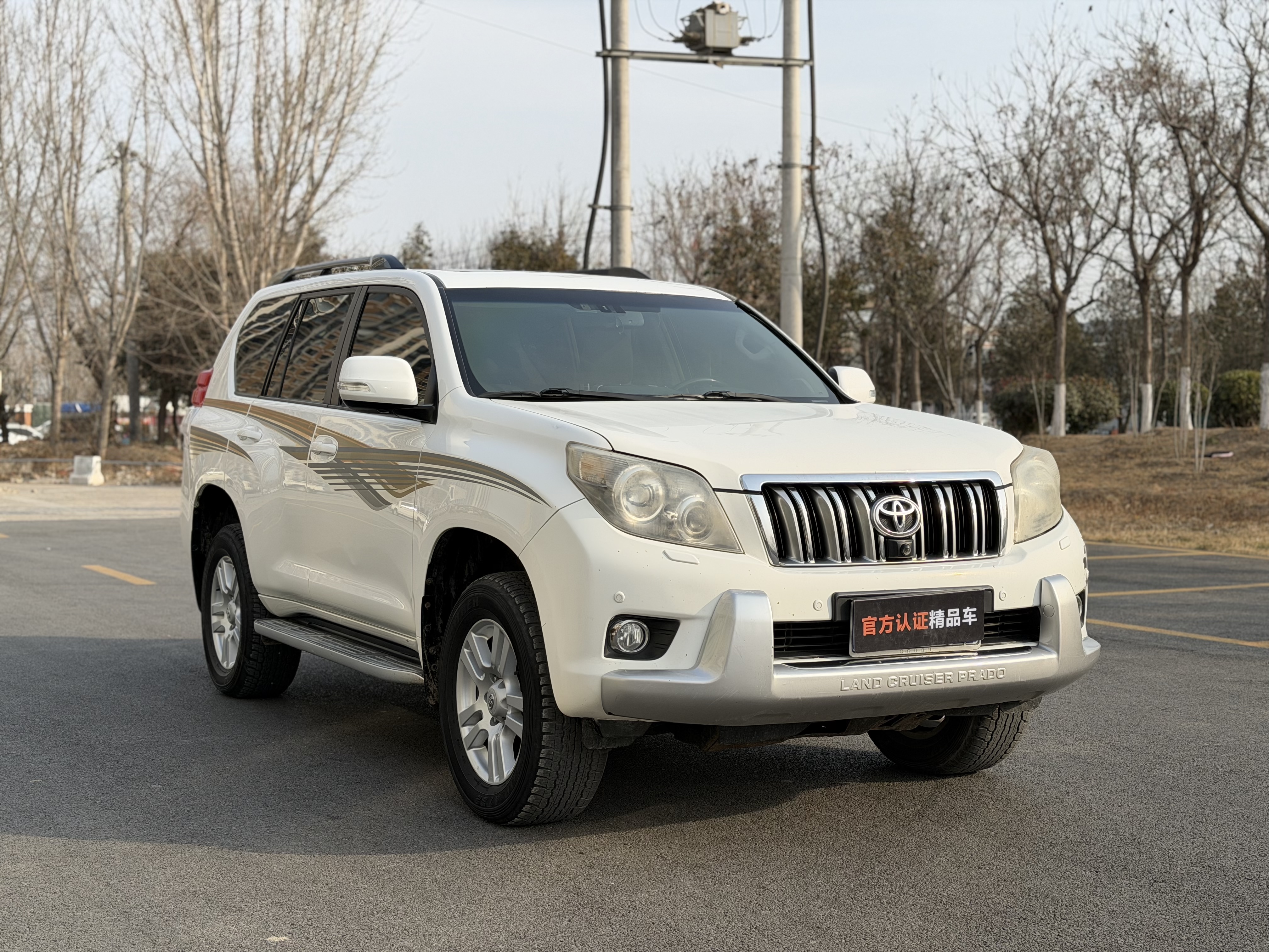 Toyota Land Cruiser Prado 2011 Toyota Land Cruiser Prado 2011 car image