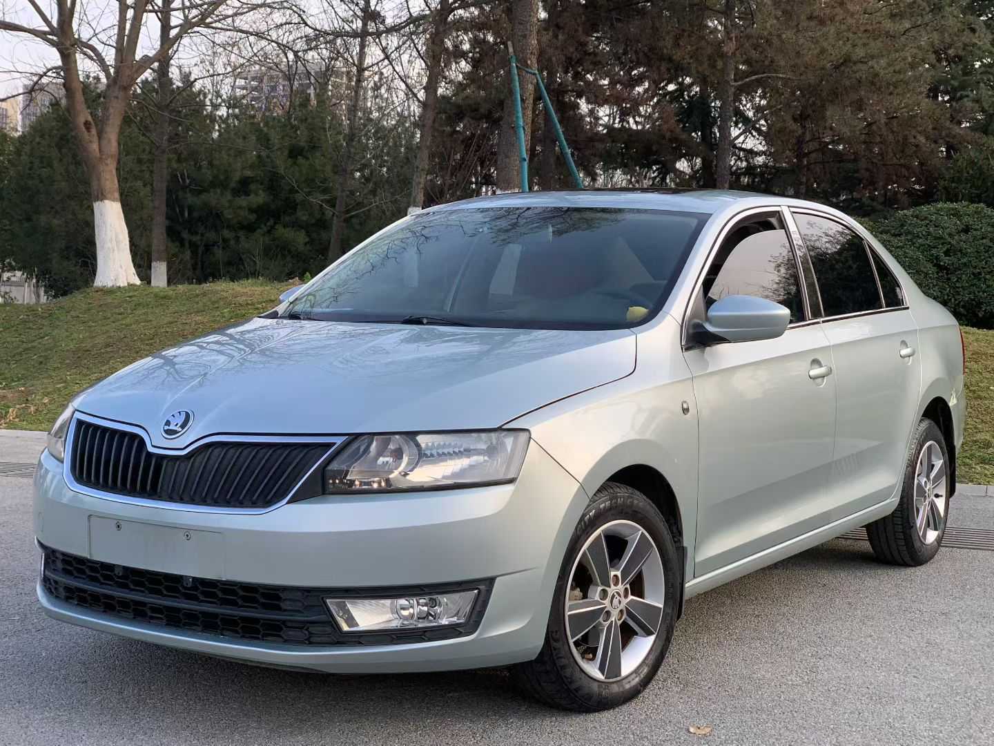 Skoda Rapid 2014 Skoda Rapid 2014 car image