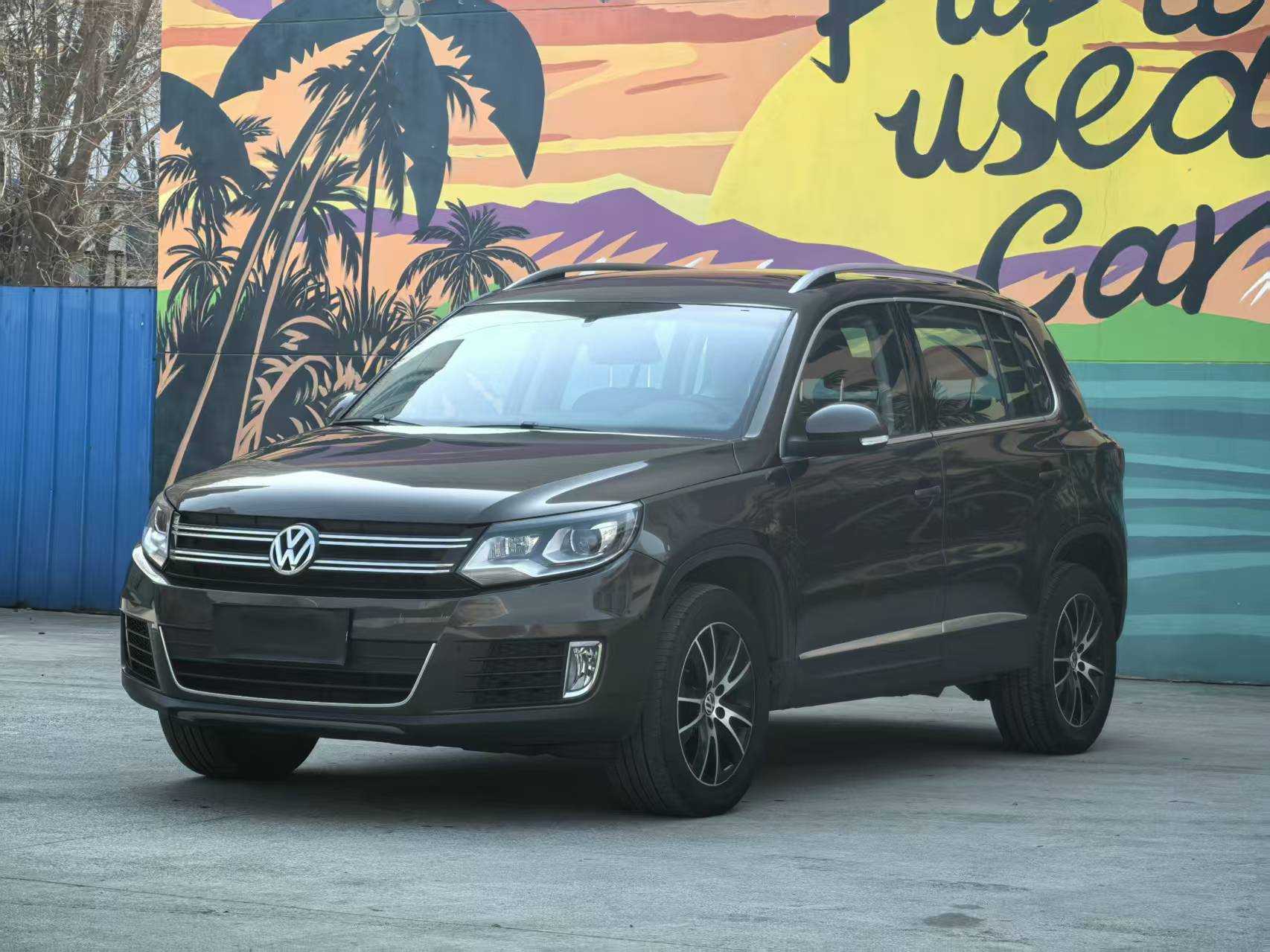 Volkswagen Tiguan 2013 Volkswagen Tiguan 2013 car image