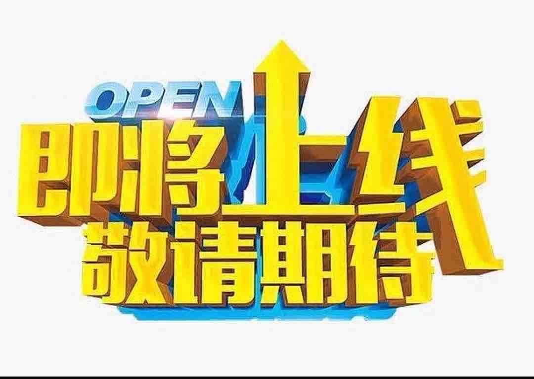 卡罗拉 2010 汽车图片 