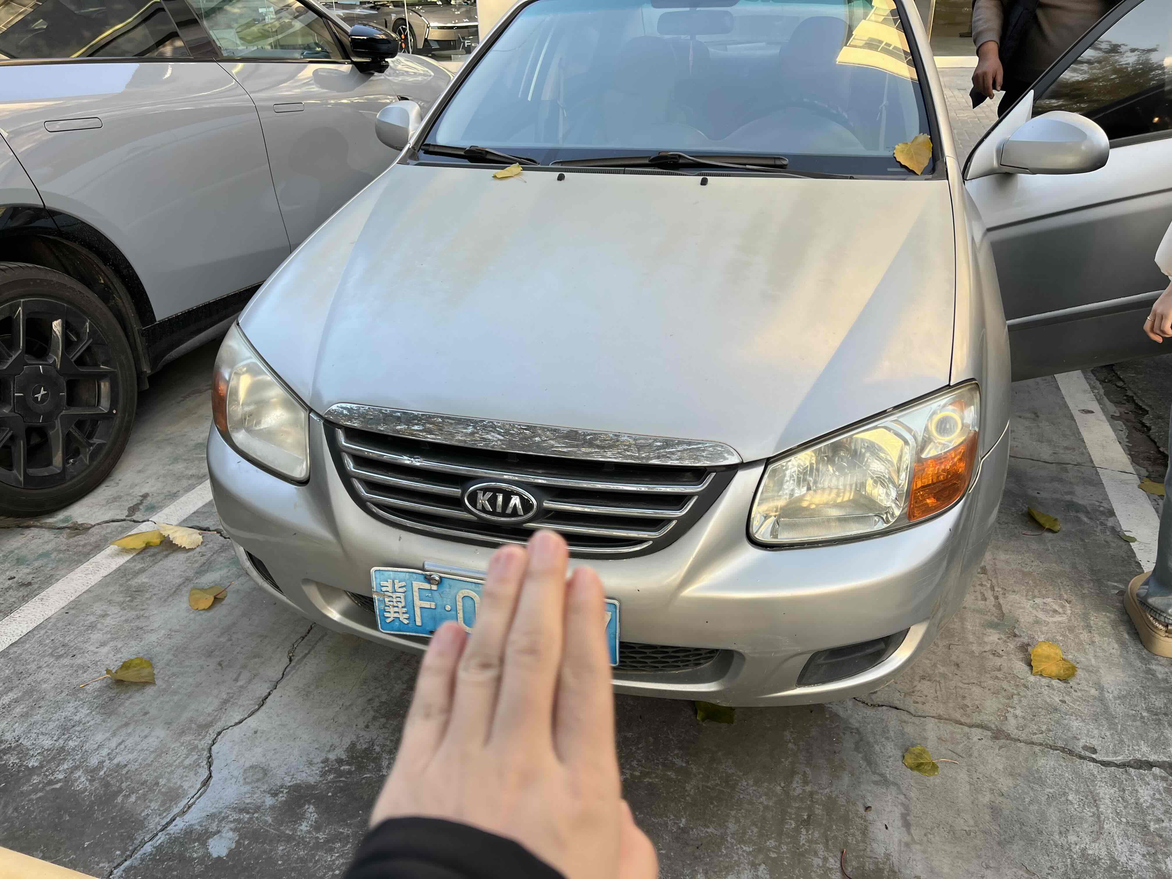 Kia Cerato 2009 汽车图片 