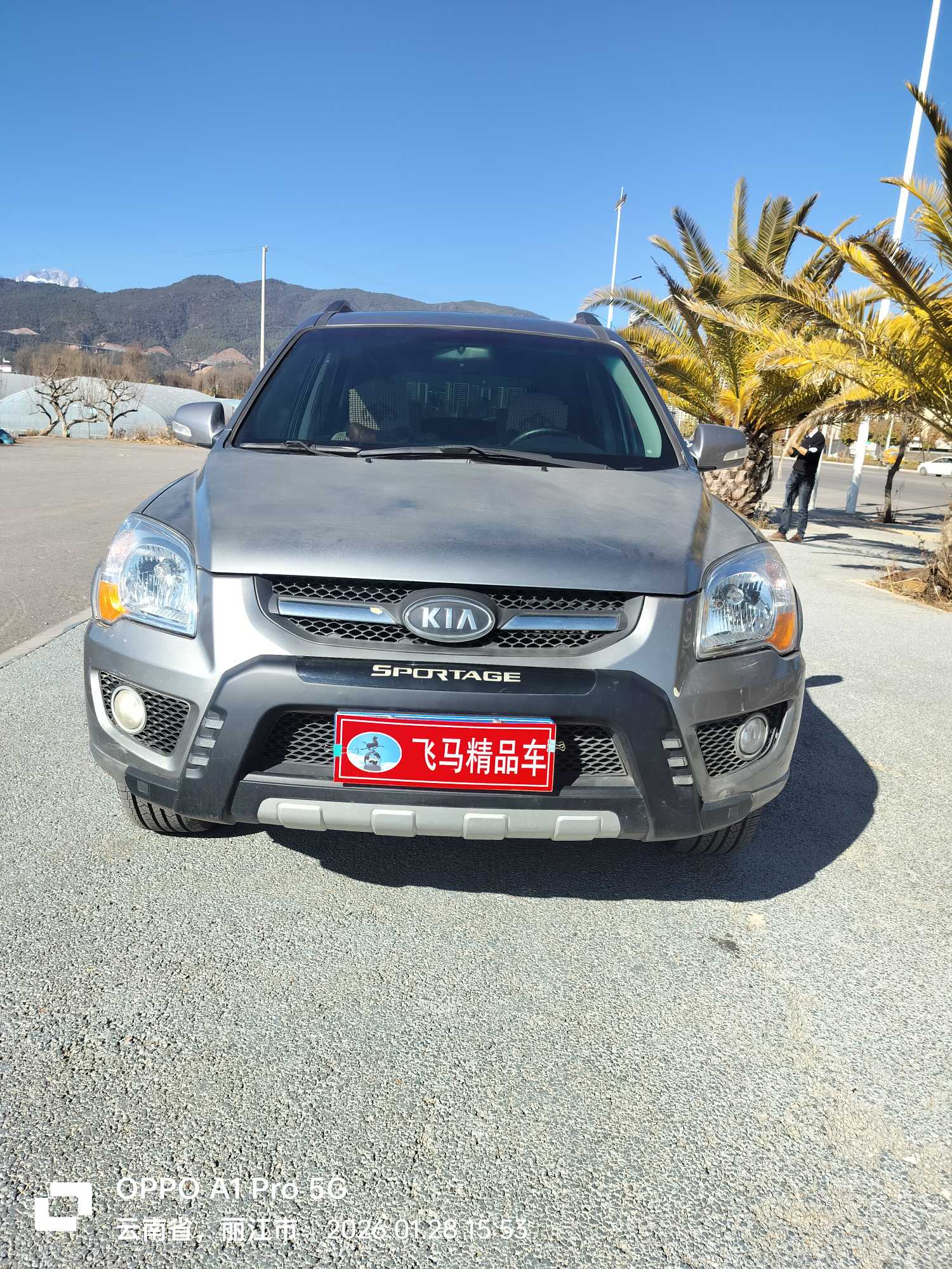 Kia Sportage 2010 Kia Sportage 2010 car image