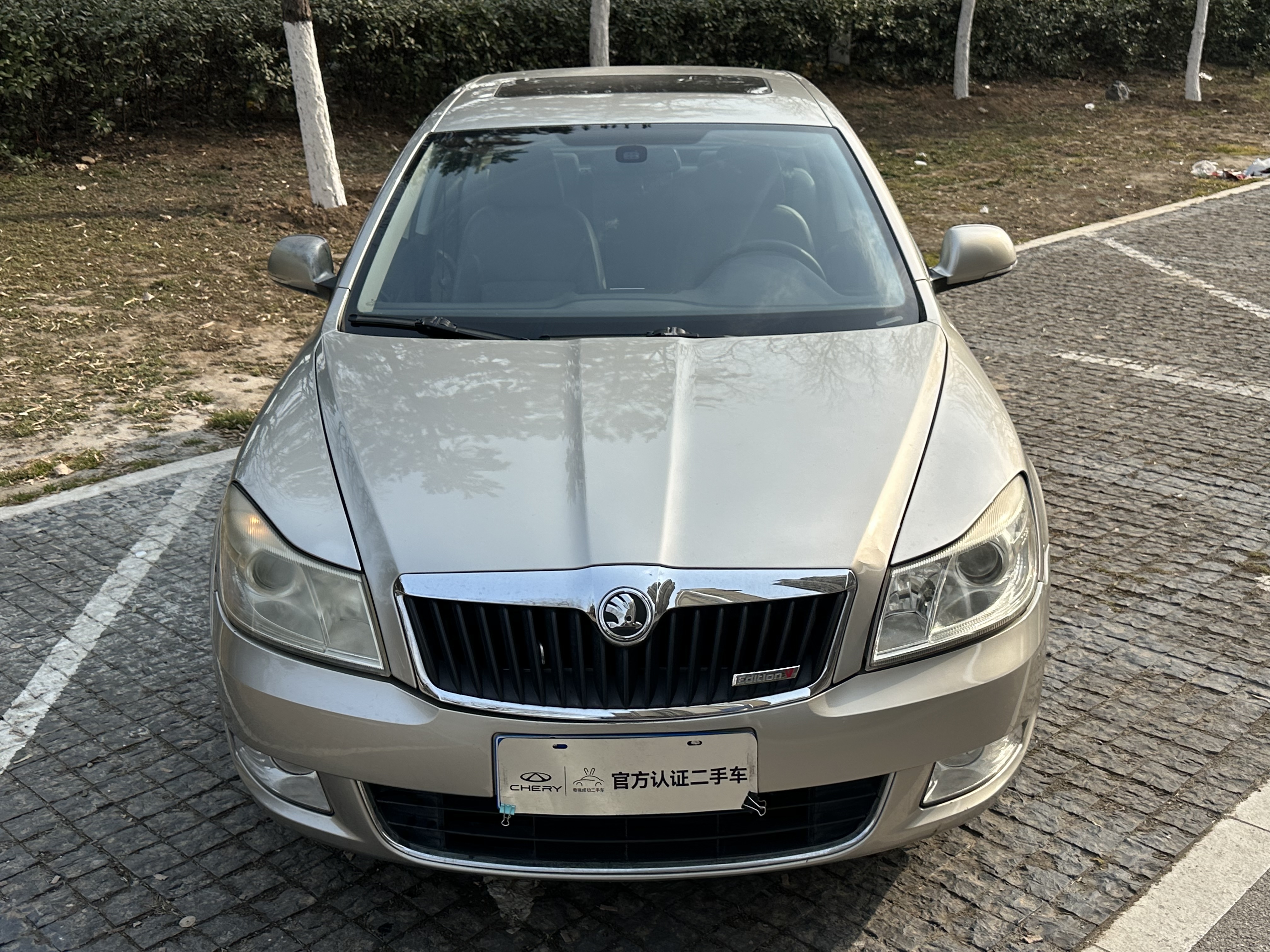 Skoda Octavia 2013 car image 
