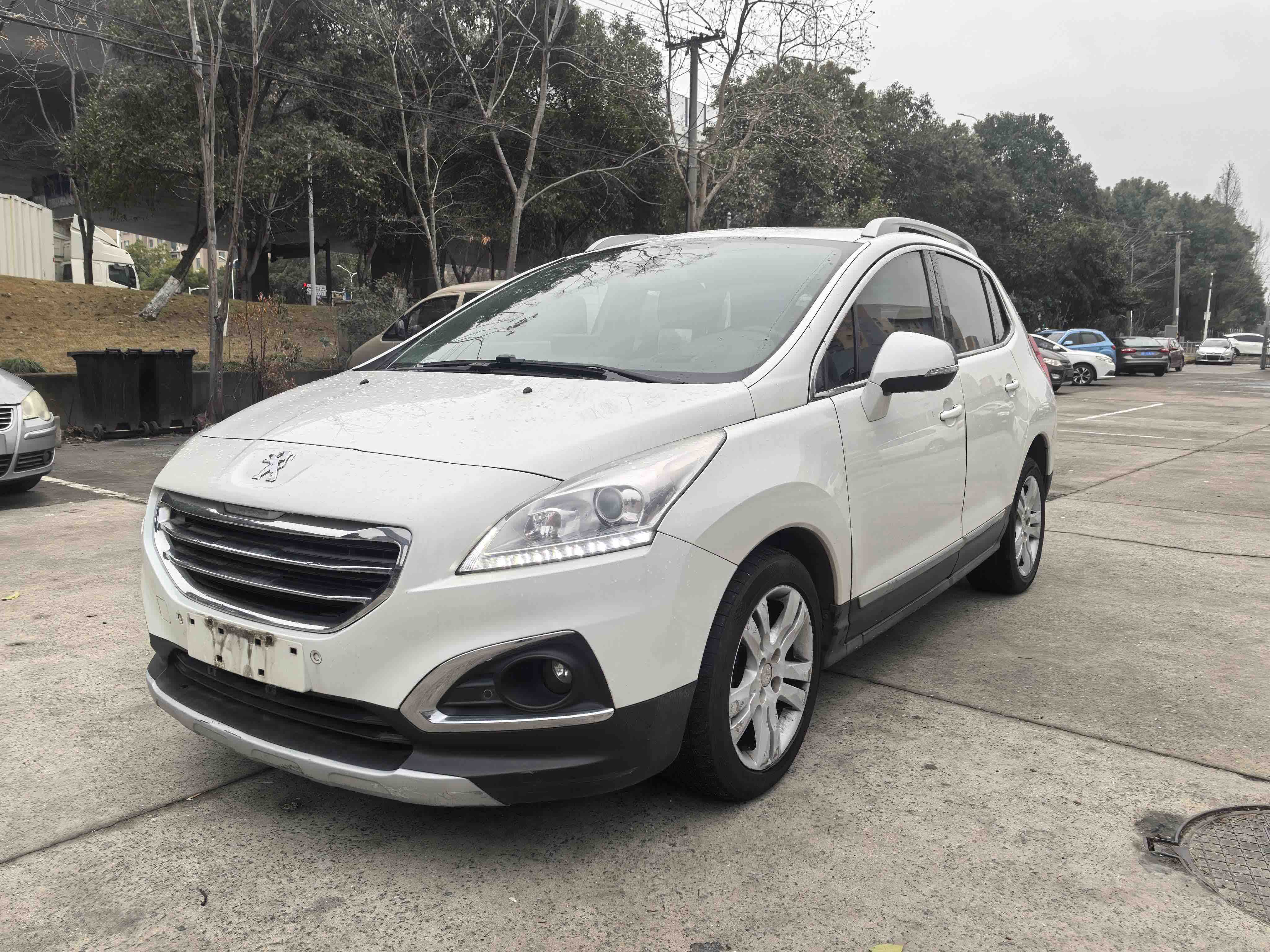 Peugeot 3008 2013 汽车图片 