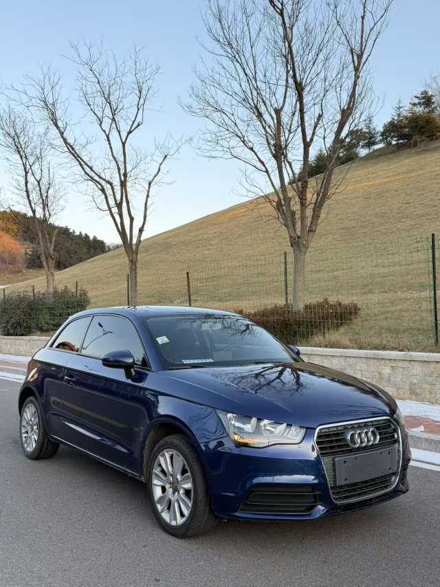 奥迪 奥迪A1 2016 汽车图片 