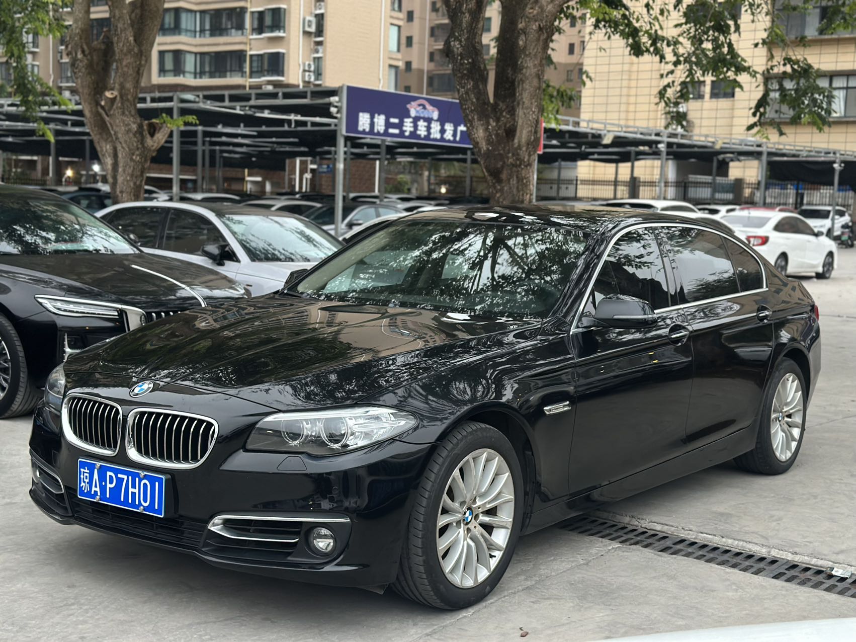 BMW 5 Series 2014 BMW 5 Series 2014 car image