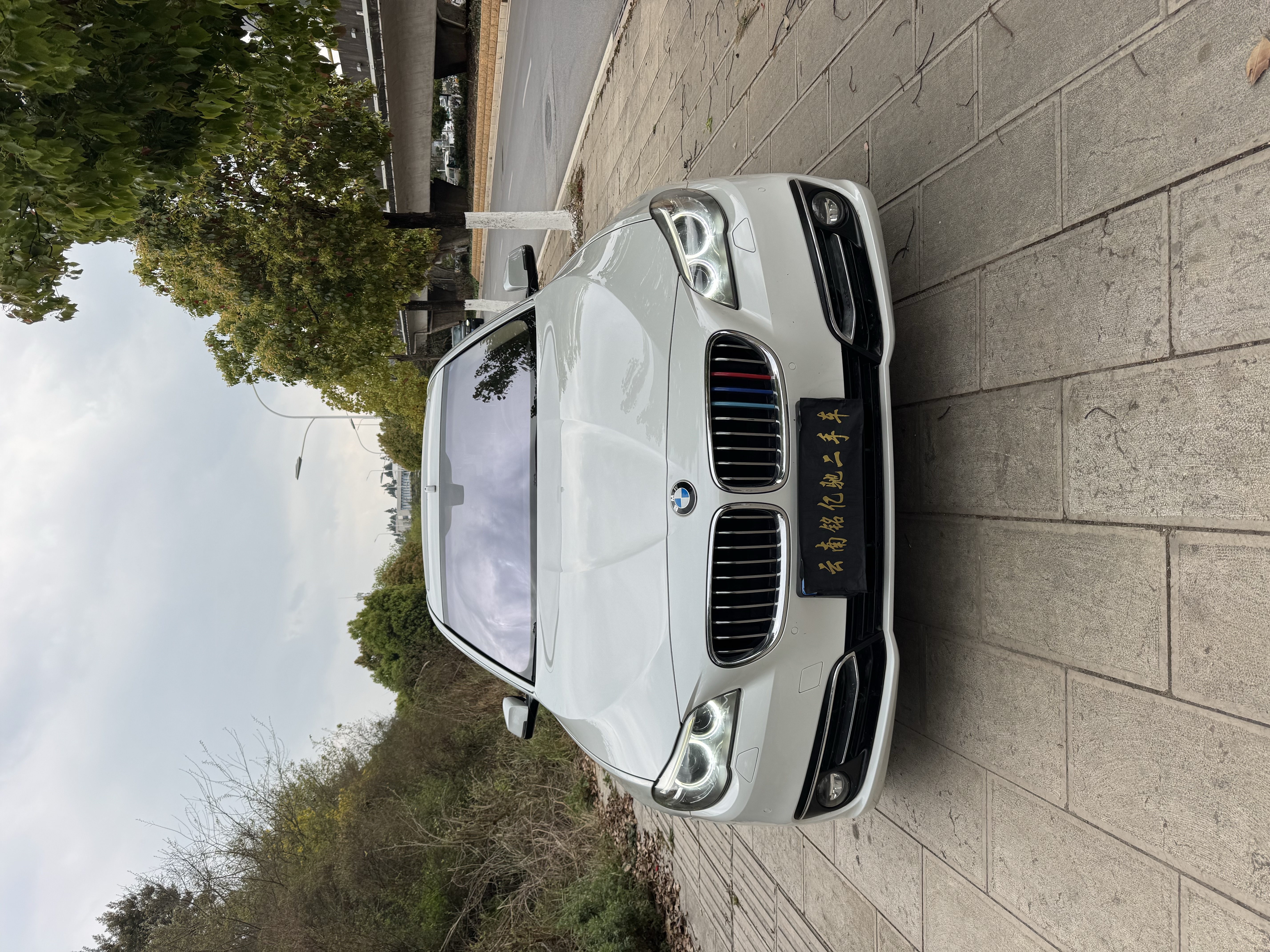 BMW 5 Series 2015 BMW 5 Series 2015 car image