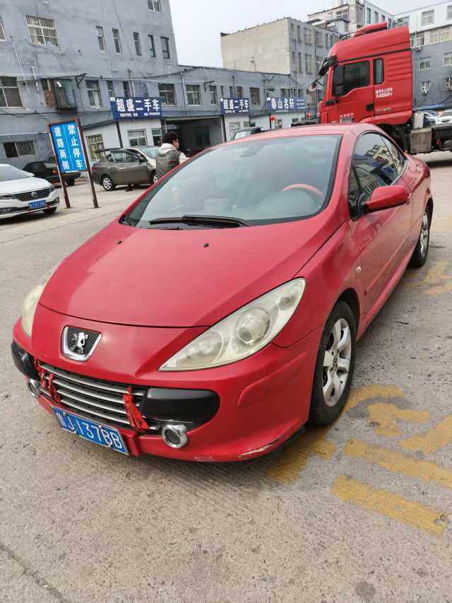 Peugeot 307 (Imported) 2009 汽车图片 
