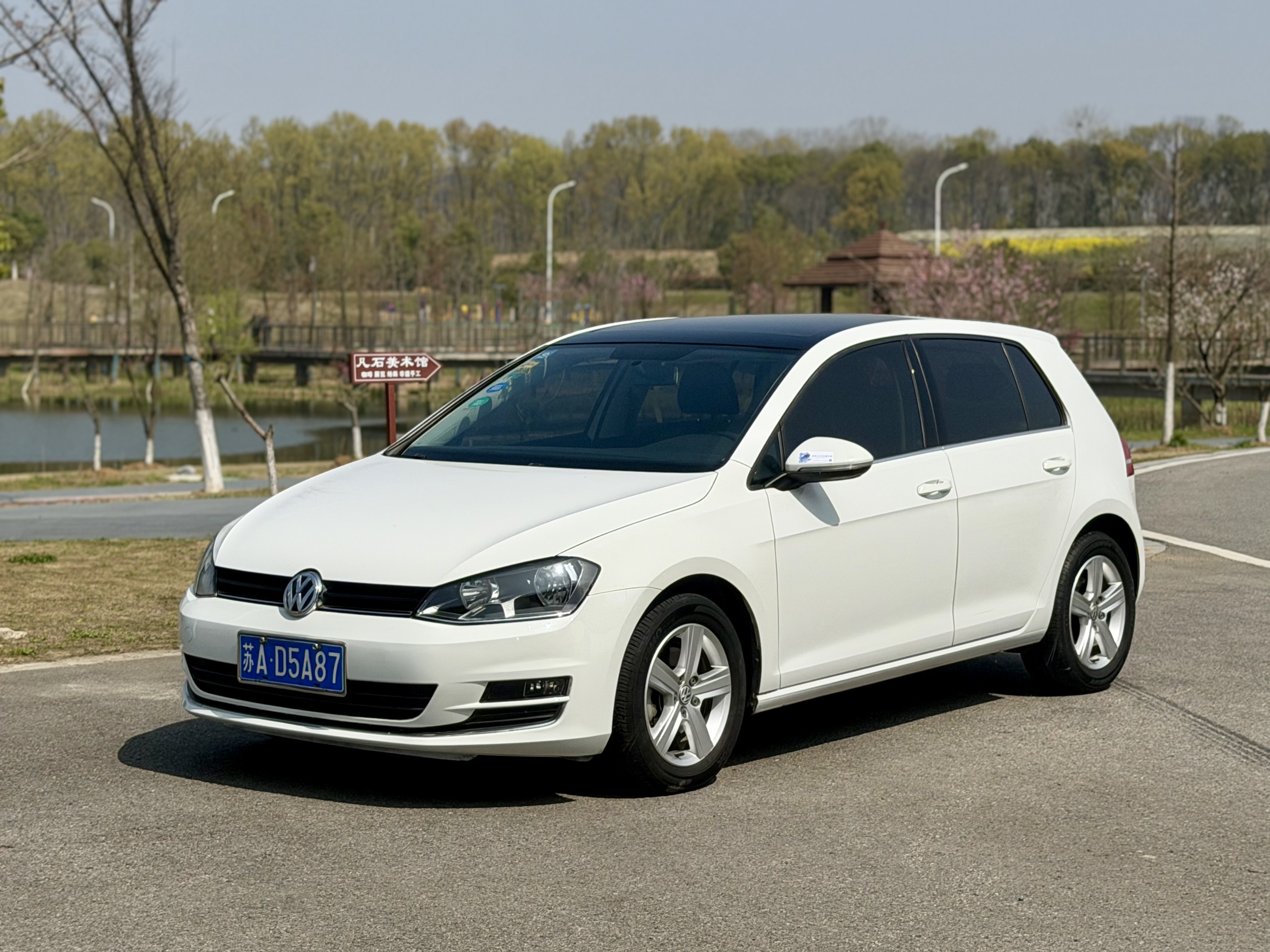 Volkswagen Golf 2014 Volkswagen Golf 2014 car image