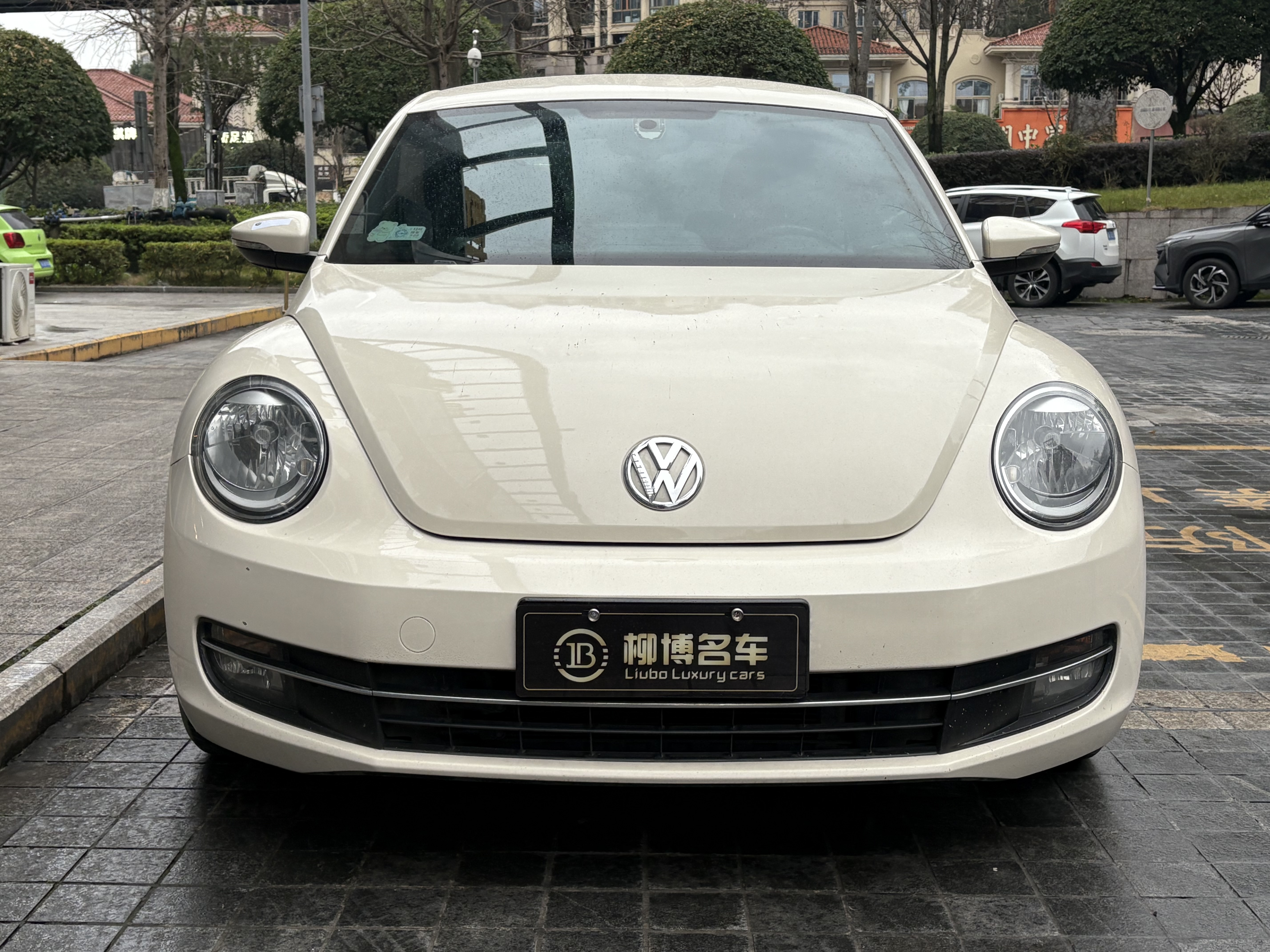 Volkswagen Beetle 2013 car image 