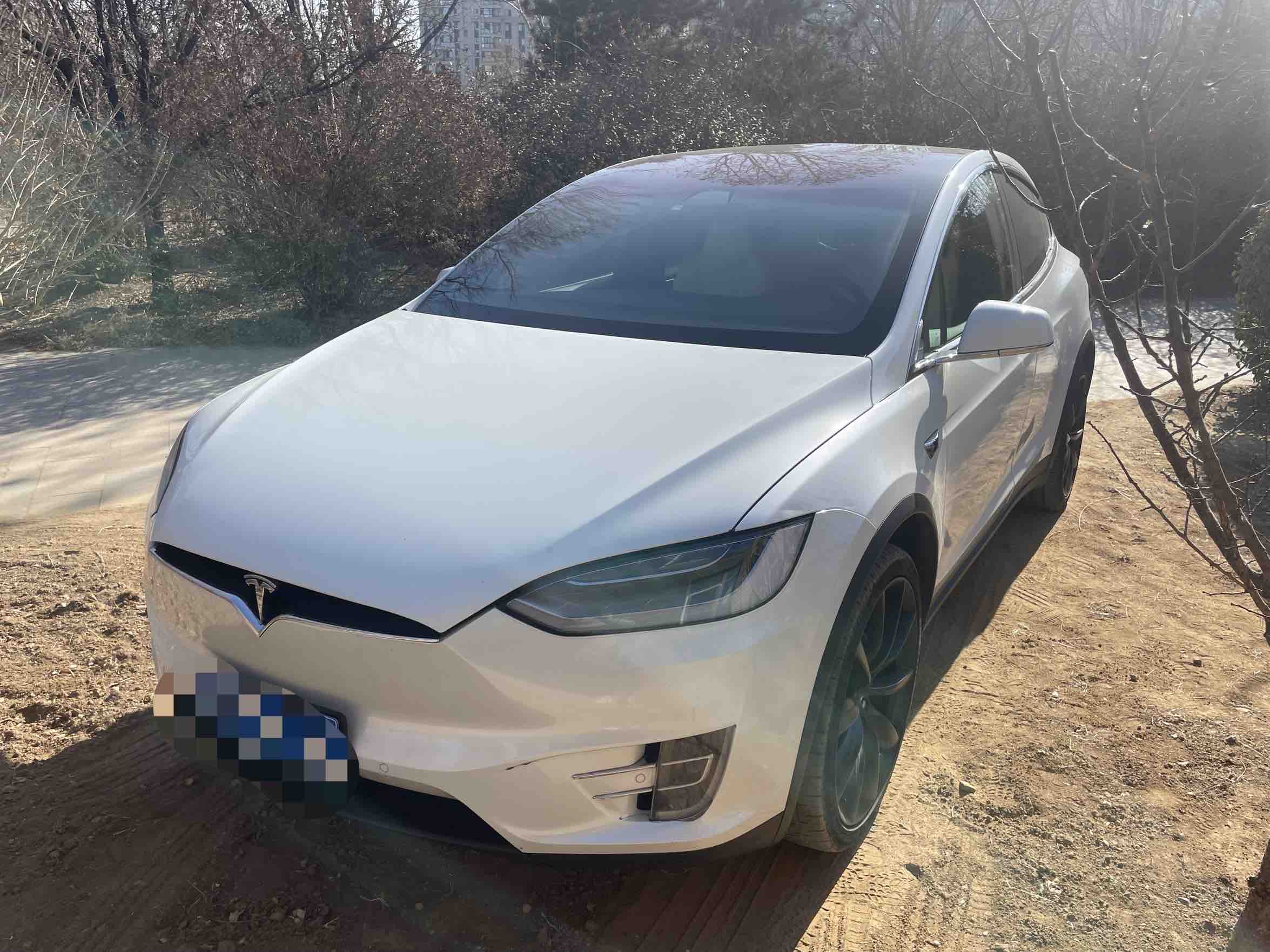 Tesla Model X 2017 汽车图片 