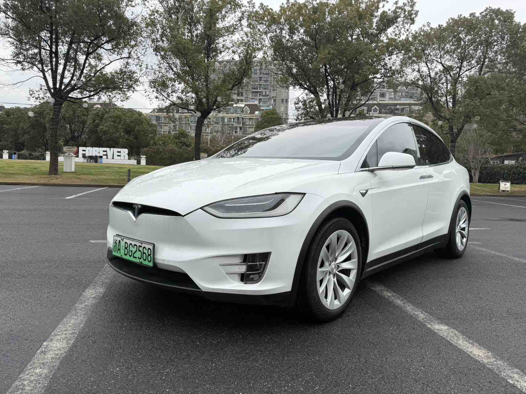 Tesla Model X 2018 汽车图片 