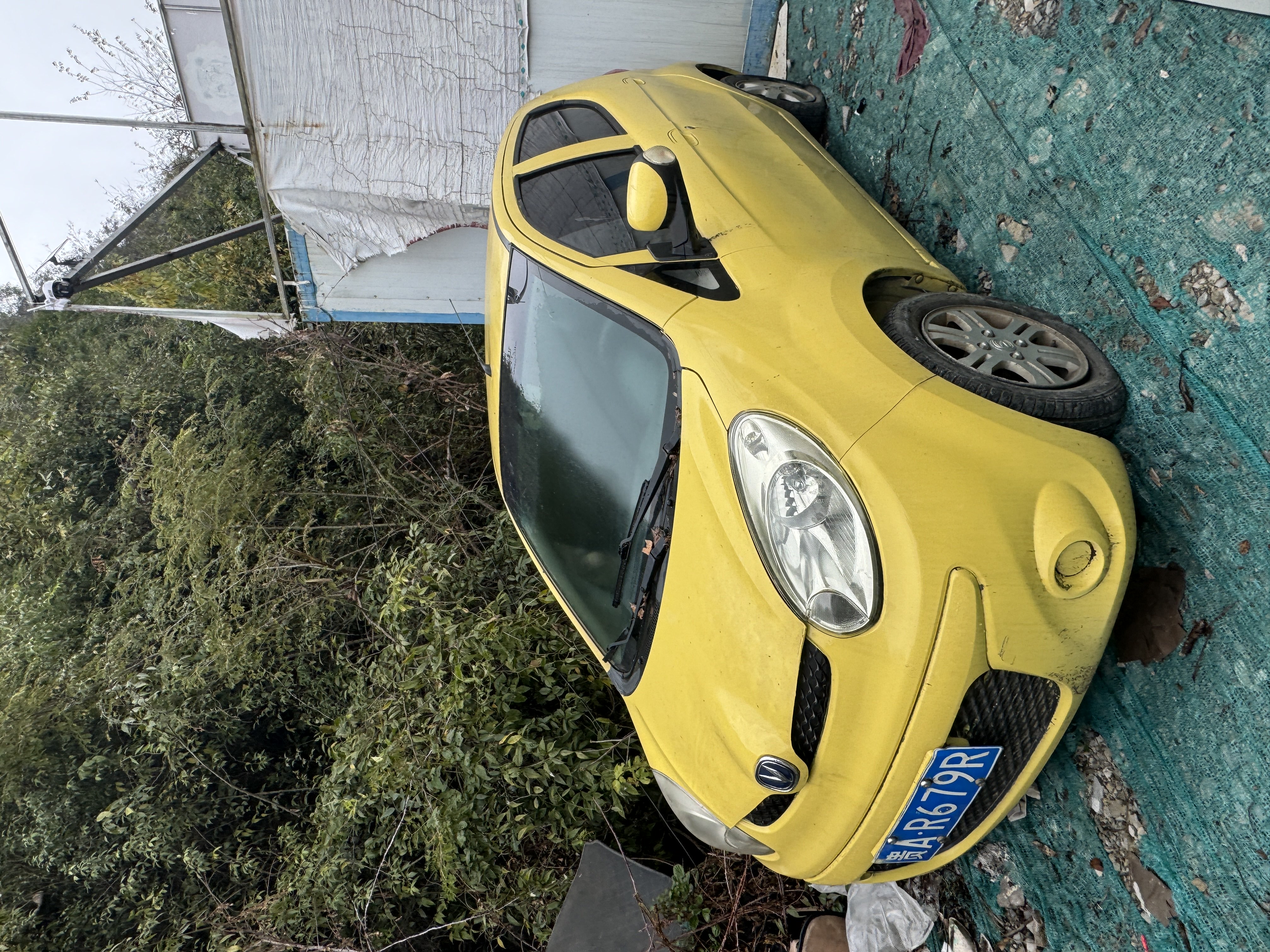 Changan BenBen MINI 2017 car image 