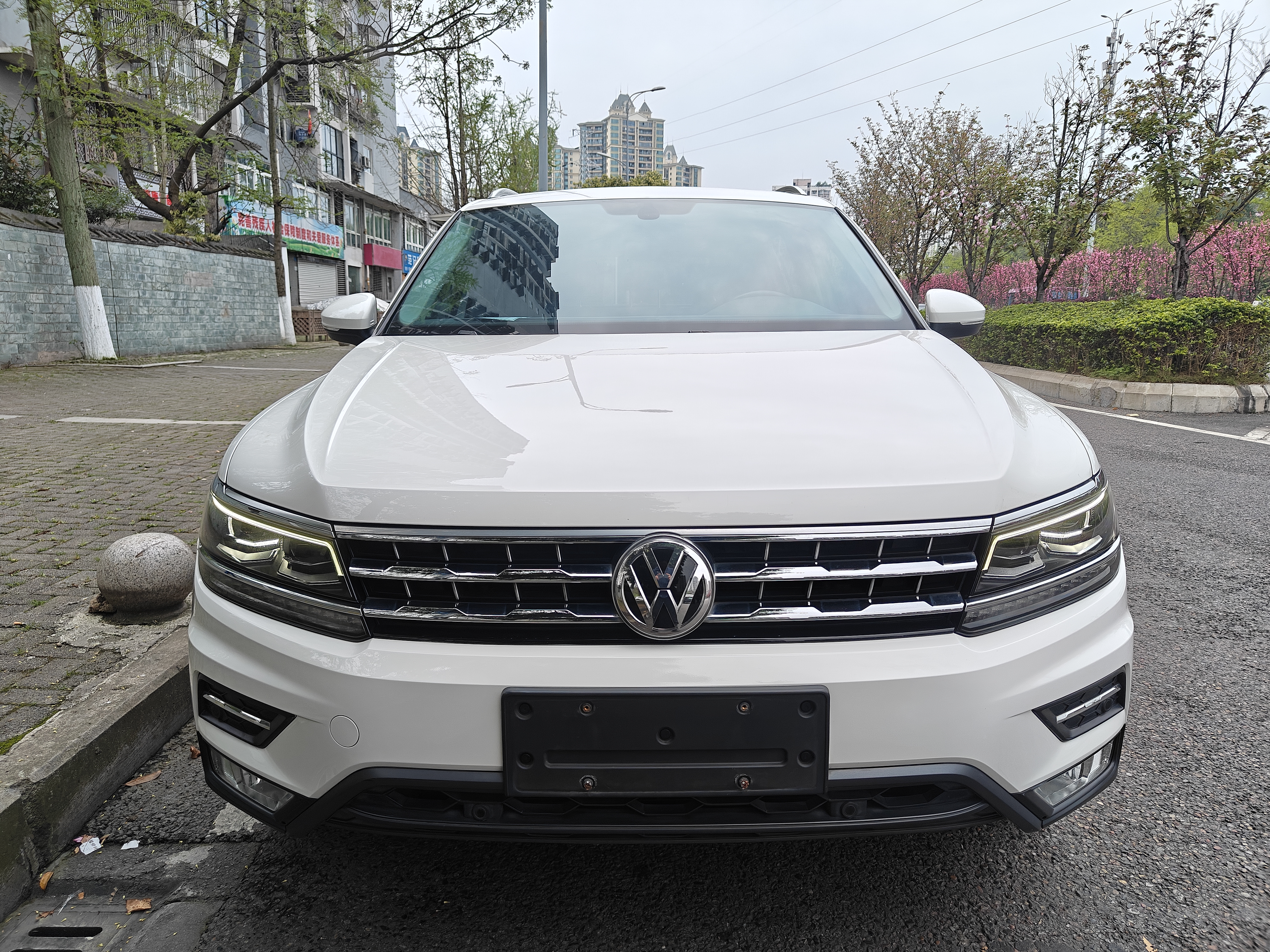 Volkswagen Tiguan L 2017 imagen de coche 