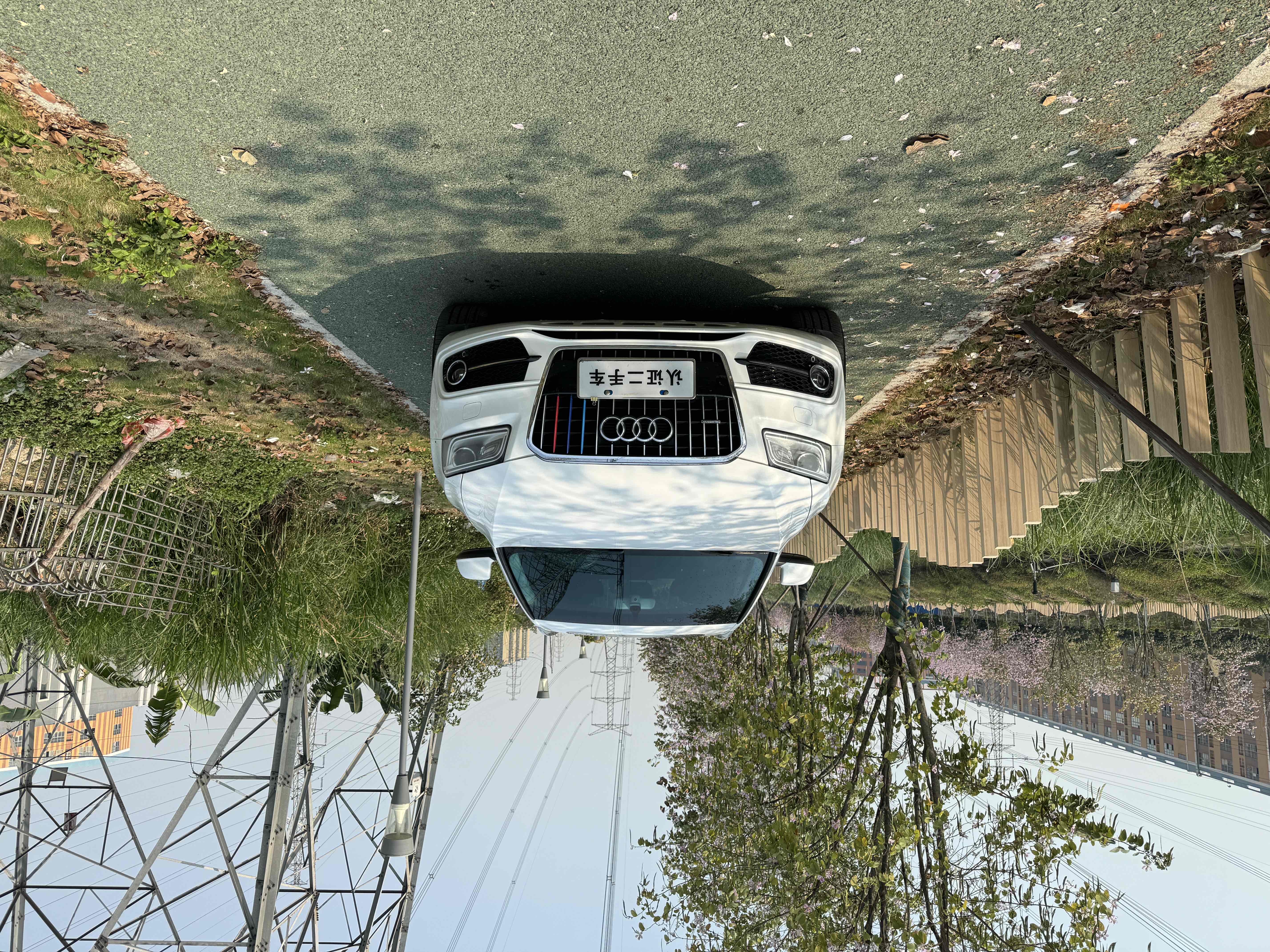 Audi SQ5 2013 imagen de coche 