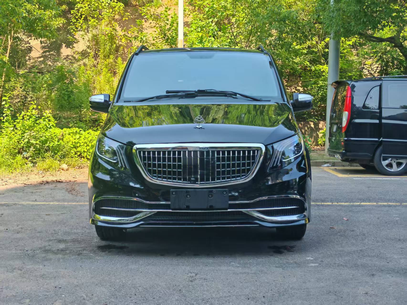 Mercedes-Benz Viano 2013 汽车图片 