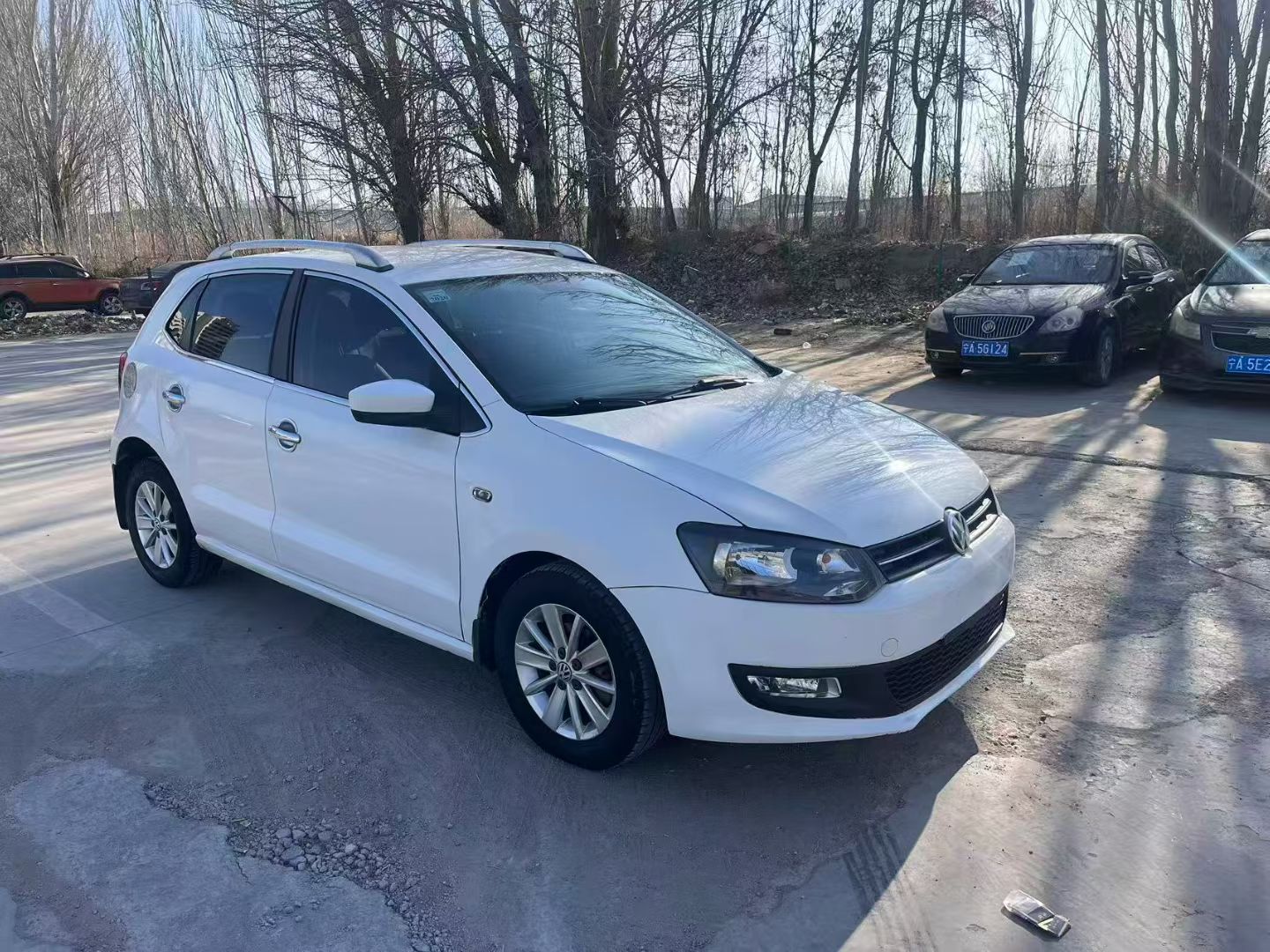 Volkswagen Polo 2014 car image 