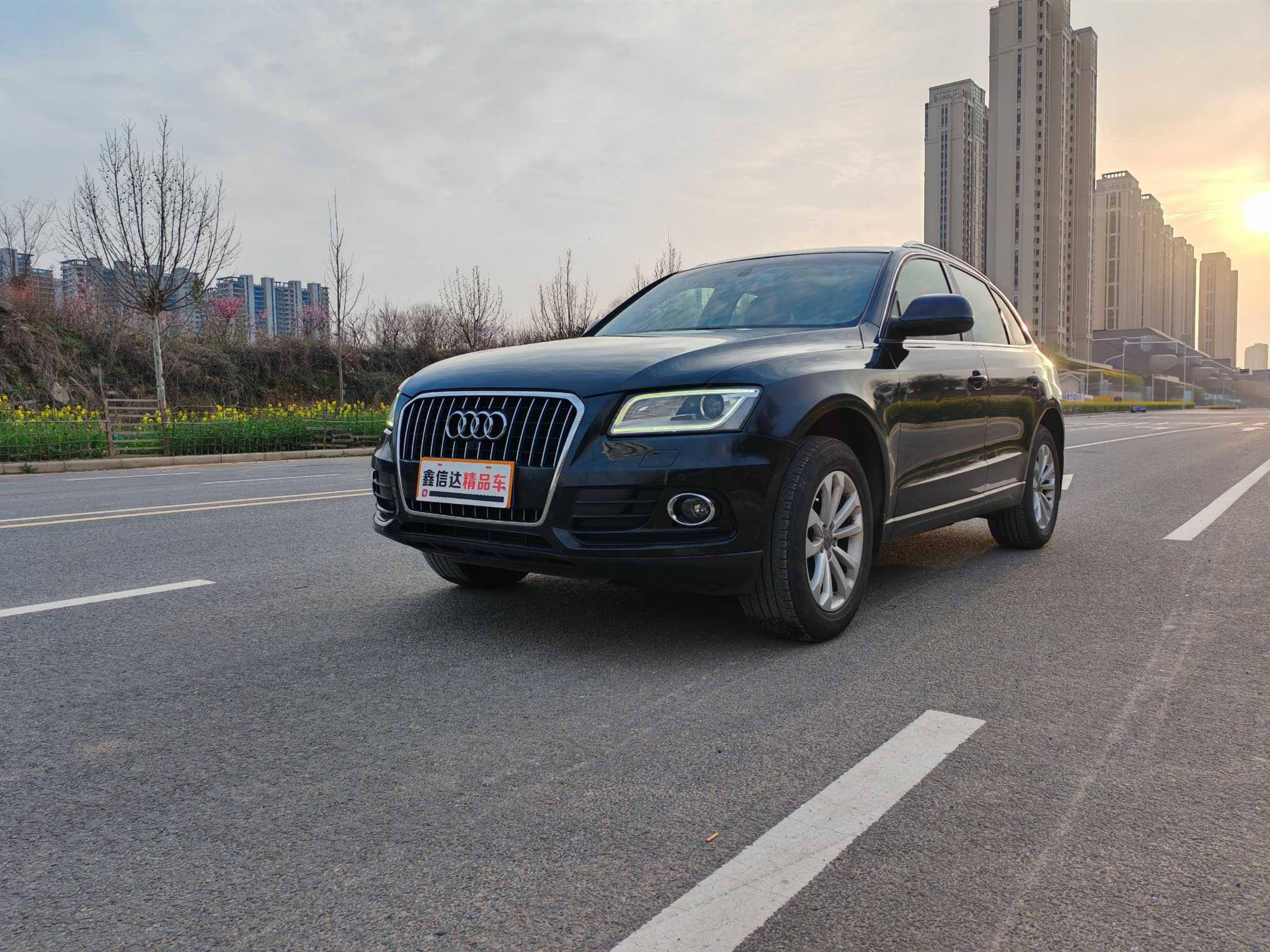 Audi Q5 2013 汽车图片 